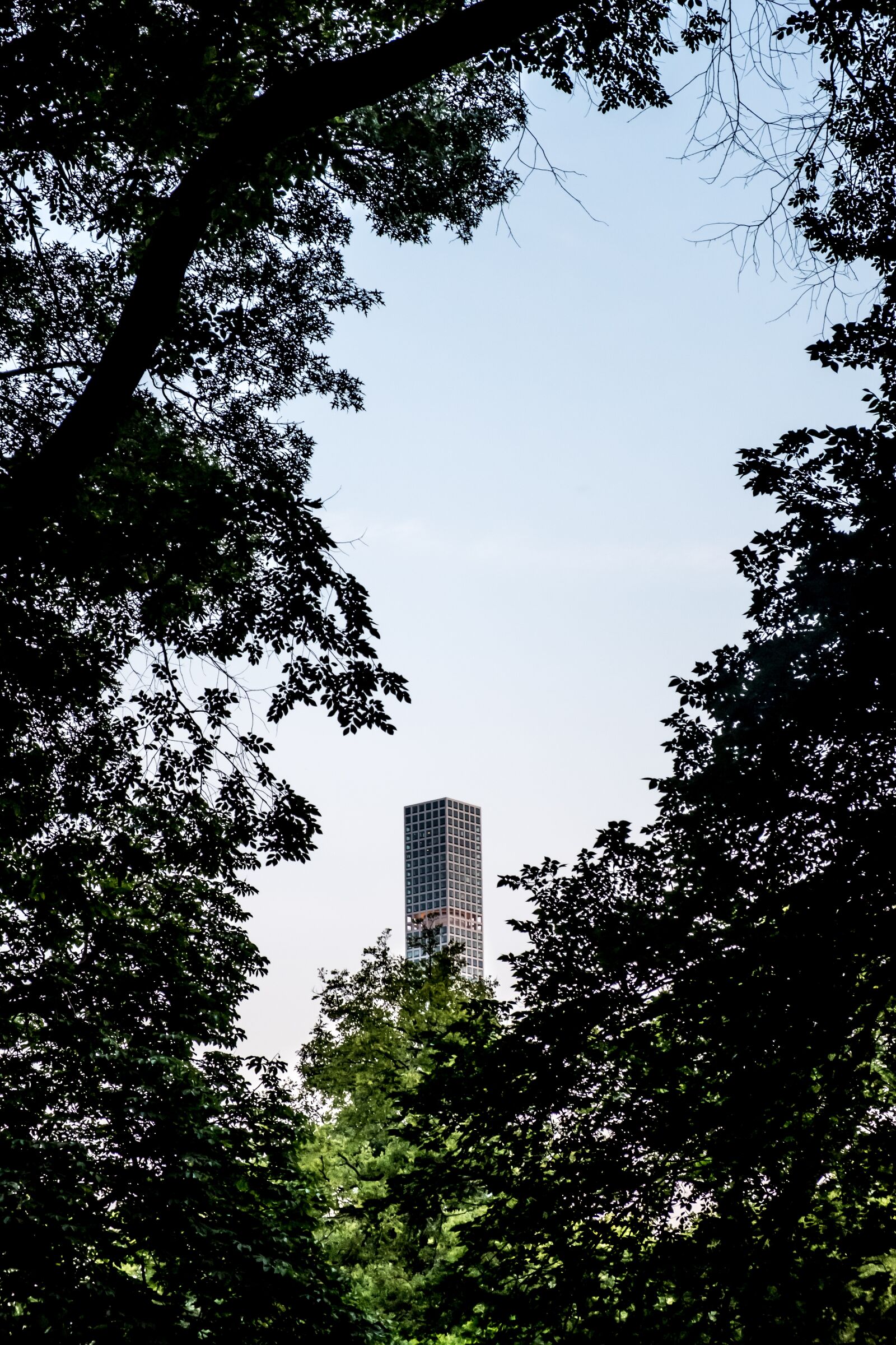 Fujifilm XF 18-55mm F2.8-4 R LM OIS sample photo. New york, central park photography