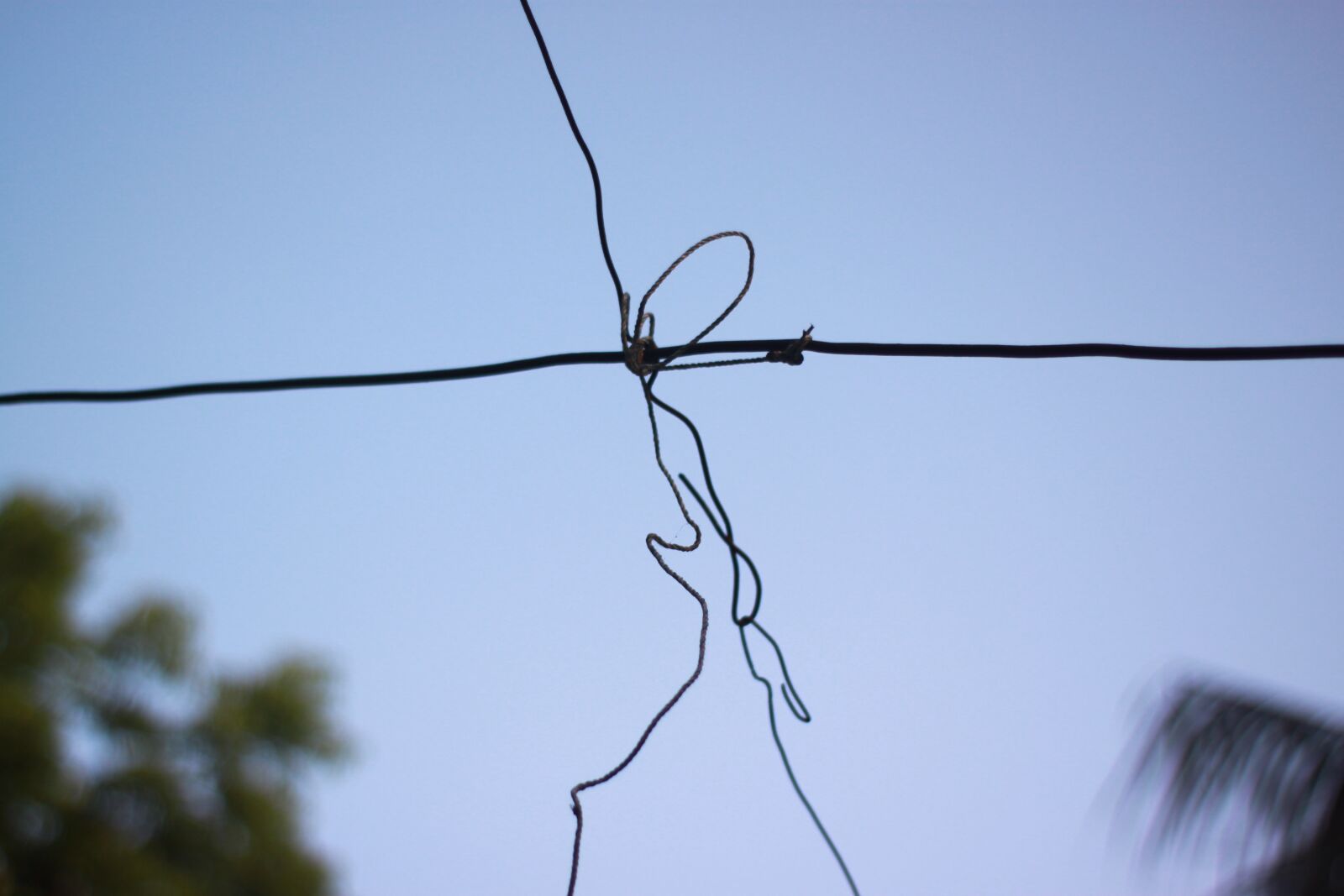 Canon EOS 500D (EOS Rebel T1i / EOS Kiss X3) sample photo. Sky, blue sky, blue photography