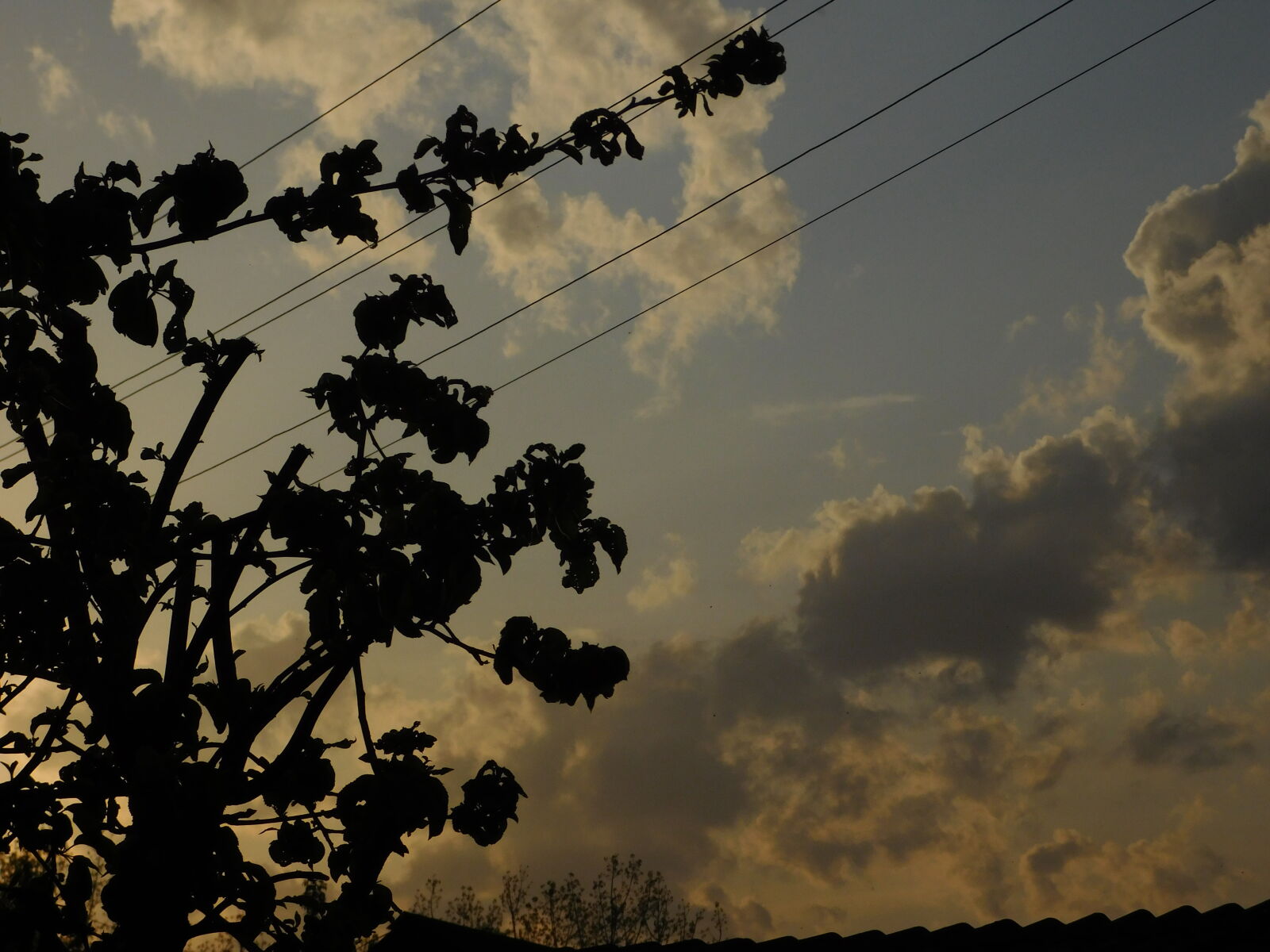 Nikon Coolpix L840 sample photo