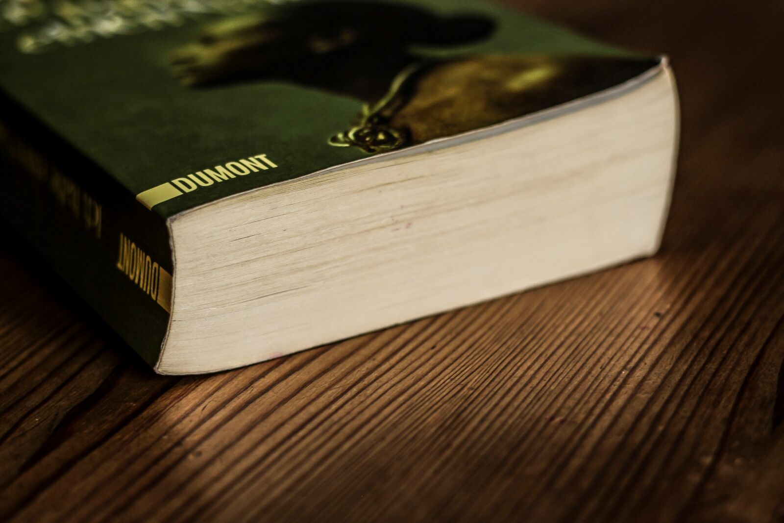 Canon EF 50mm F1.8 STM sample photo. Book, book floor, paperback photography
