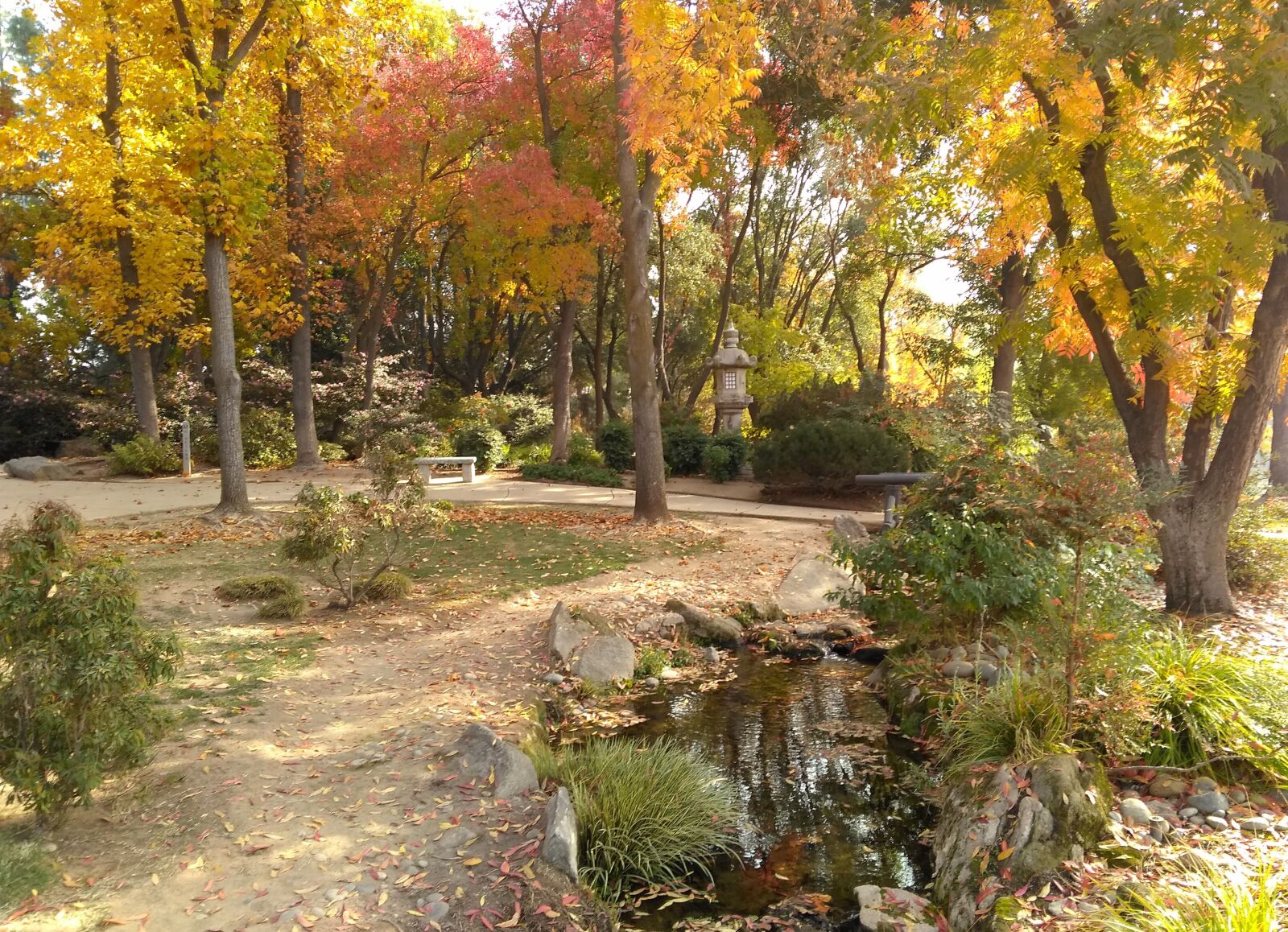 QCOM-AA QCAM-AA sample photo. Autumn, path, nature photography