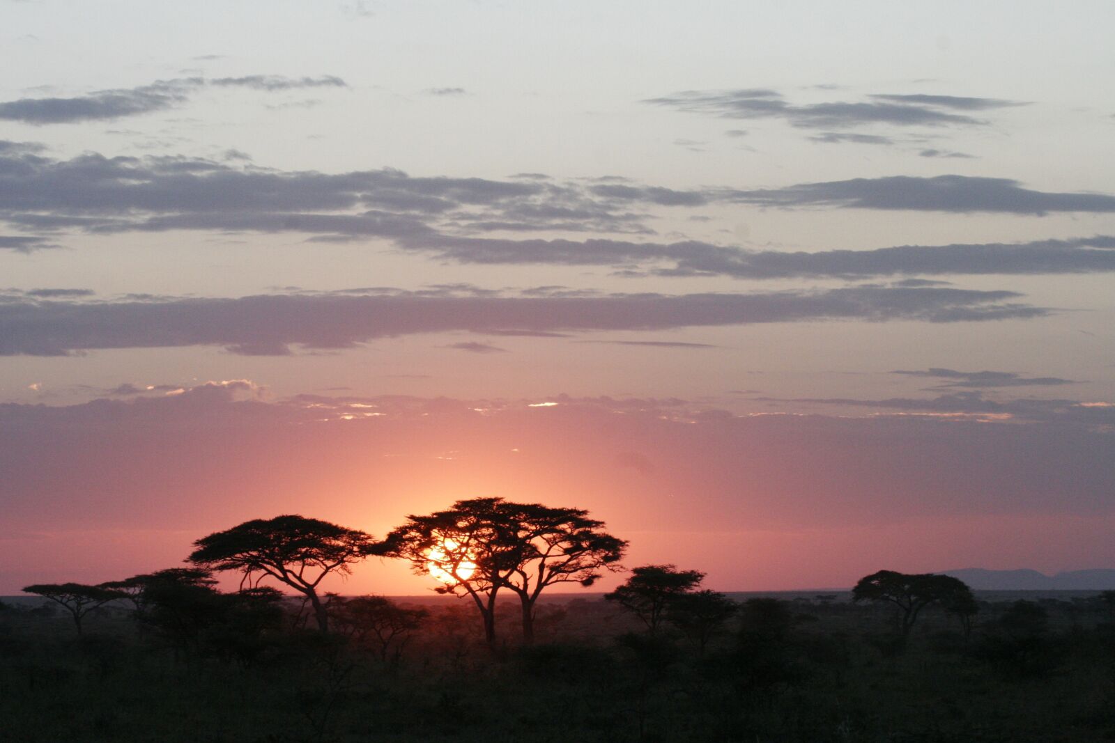 Canon EOS 20D sample photo. Sunset, africa, tan photography