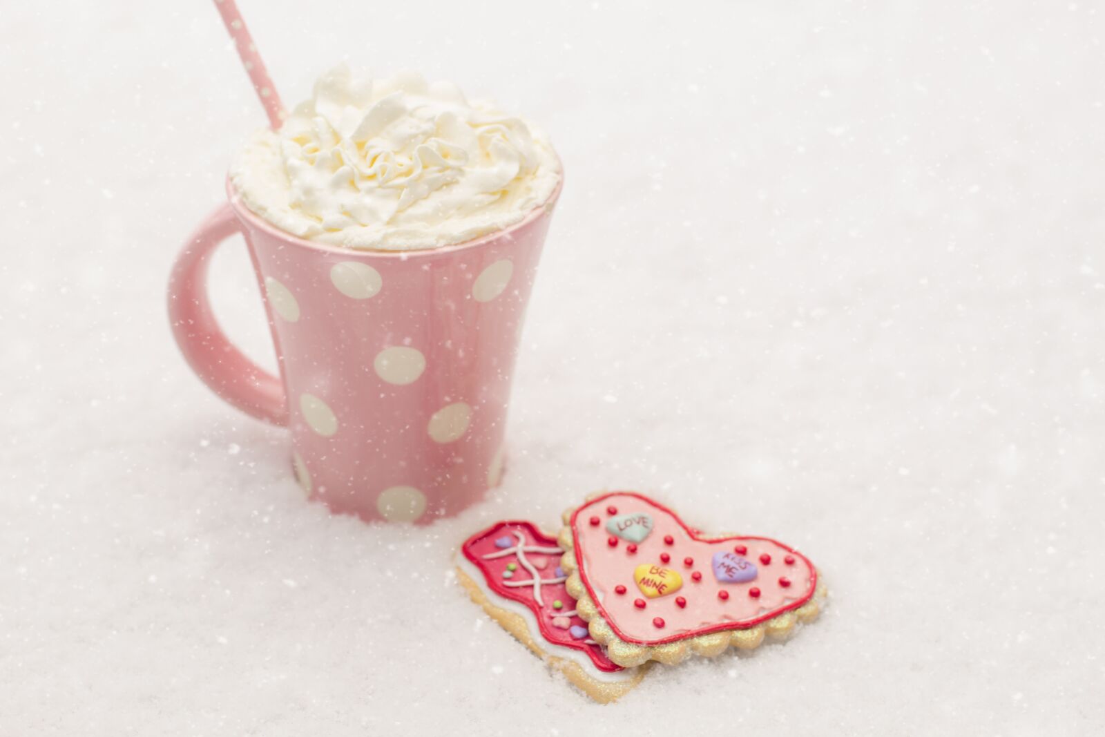 Canon EF 50mm F1.4 USM sample photo. Valentine, valentines day, winter photography