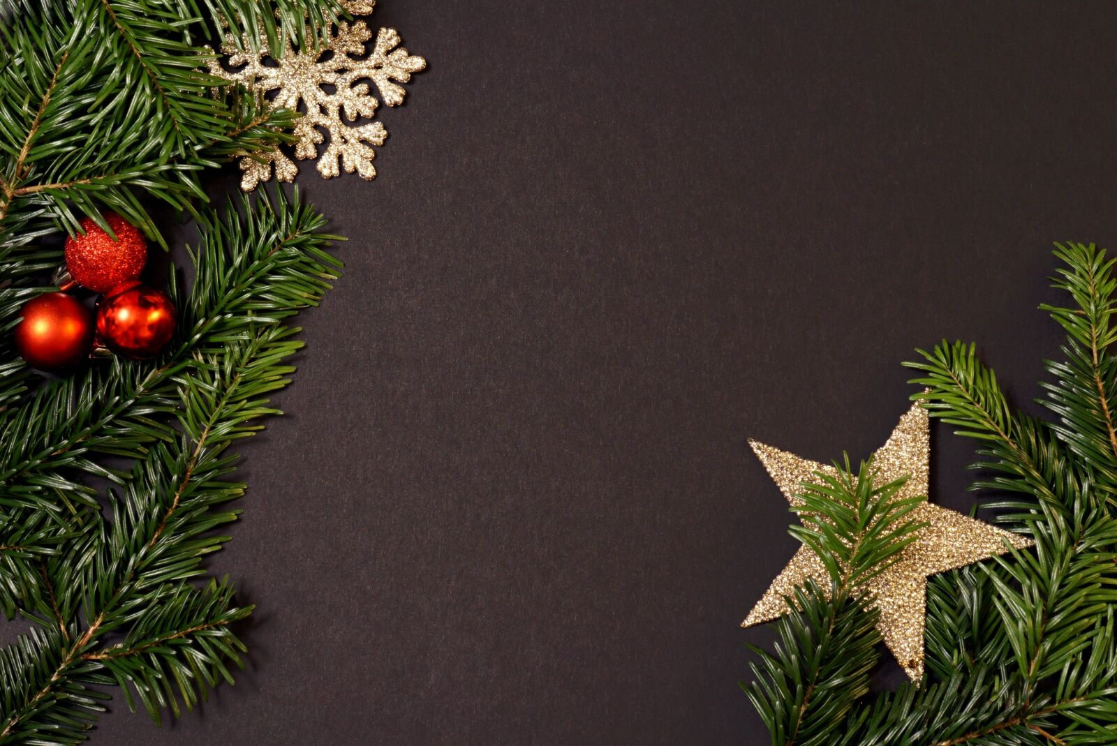 Sony a6000 + Sony E 35mm F1.8 OSS sample photo. Holidays, christmas tree, christmas photography