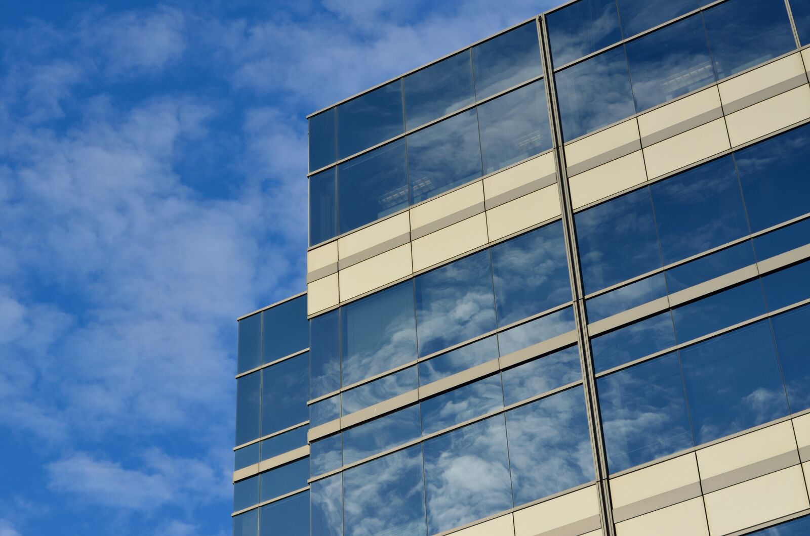 Nikon D5100 sample photo. Office, building, cloud photography