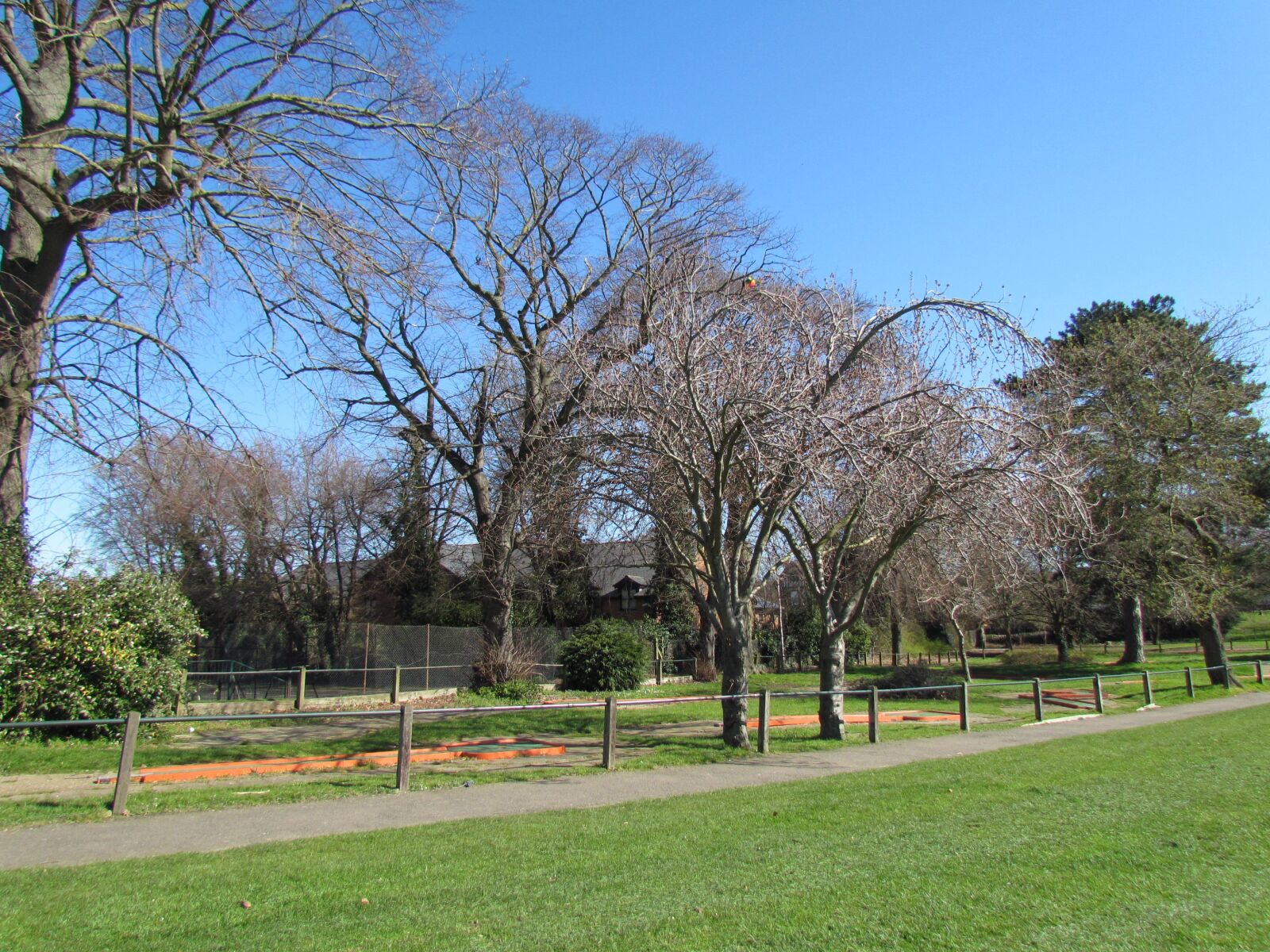 Canon PowerShot SX30 IS sample photo. Trees, summer, park photography