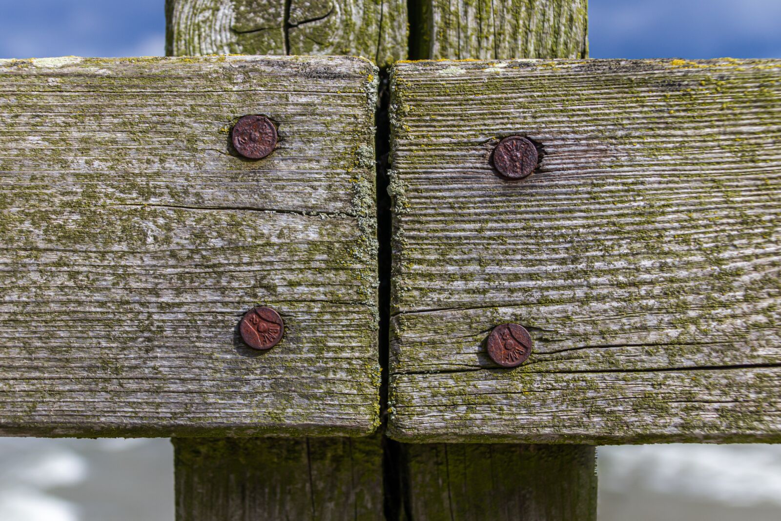 Canon EOS 80D sample photo. Wood, boards, old photography