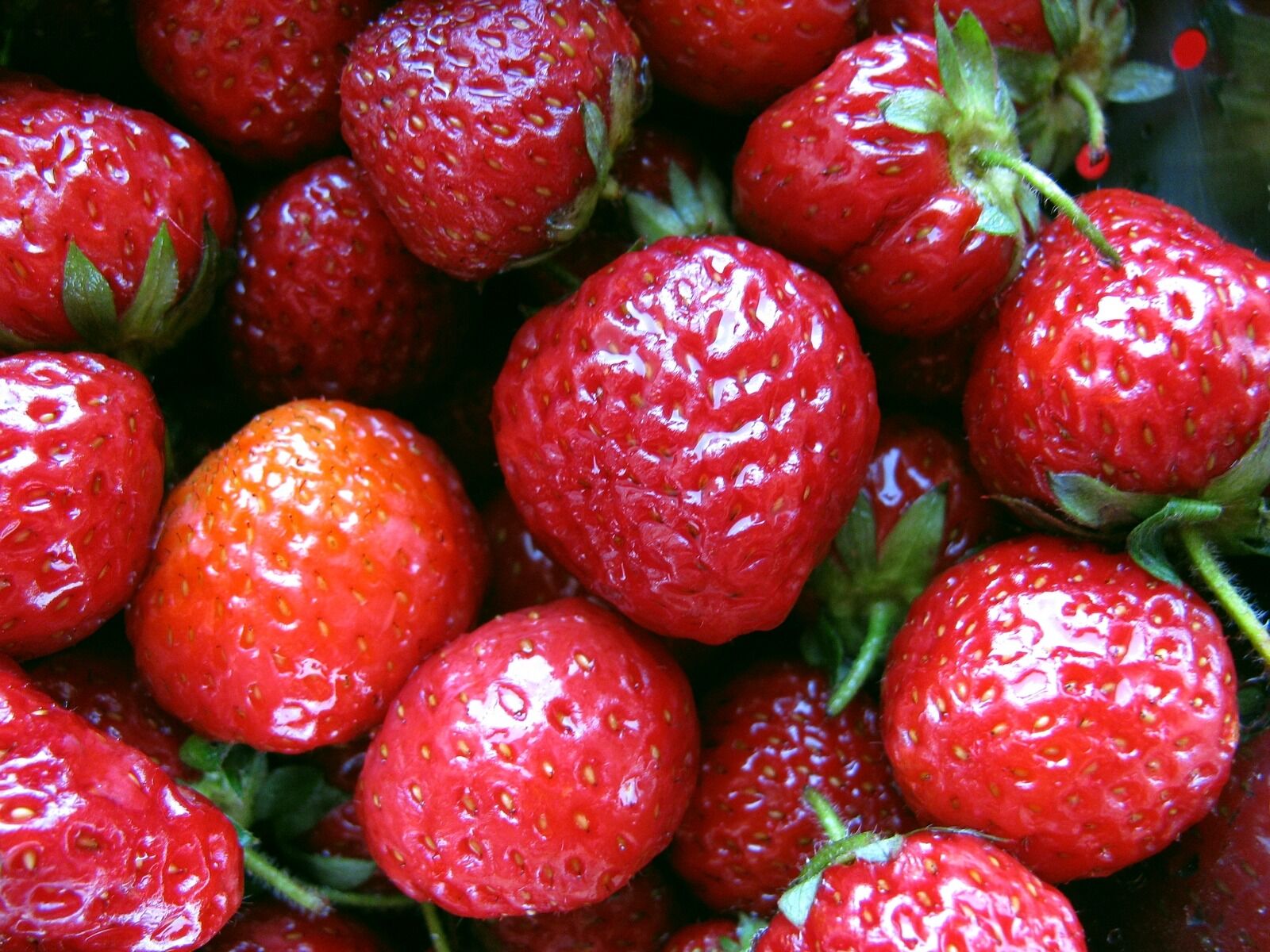 Canon PowerShot SX110 IS sample photo. Fruit, spring, strawberry photography