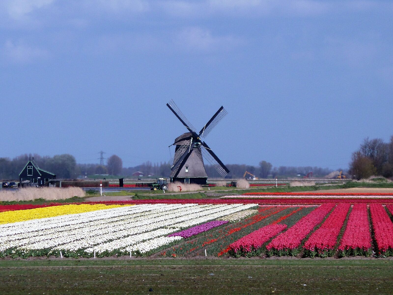 Panasonic Lumix DMC-ZS5 (Lumix DMC-TZ8) sample photo. Mill, landscape, holland photography