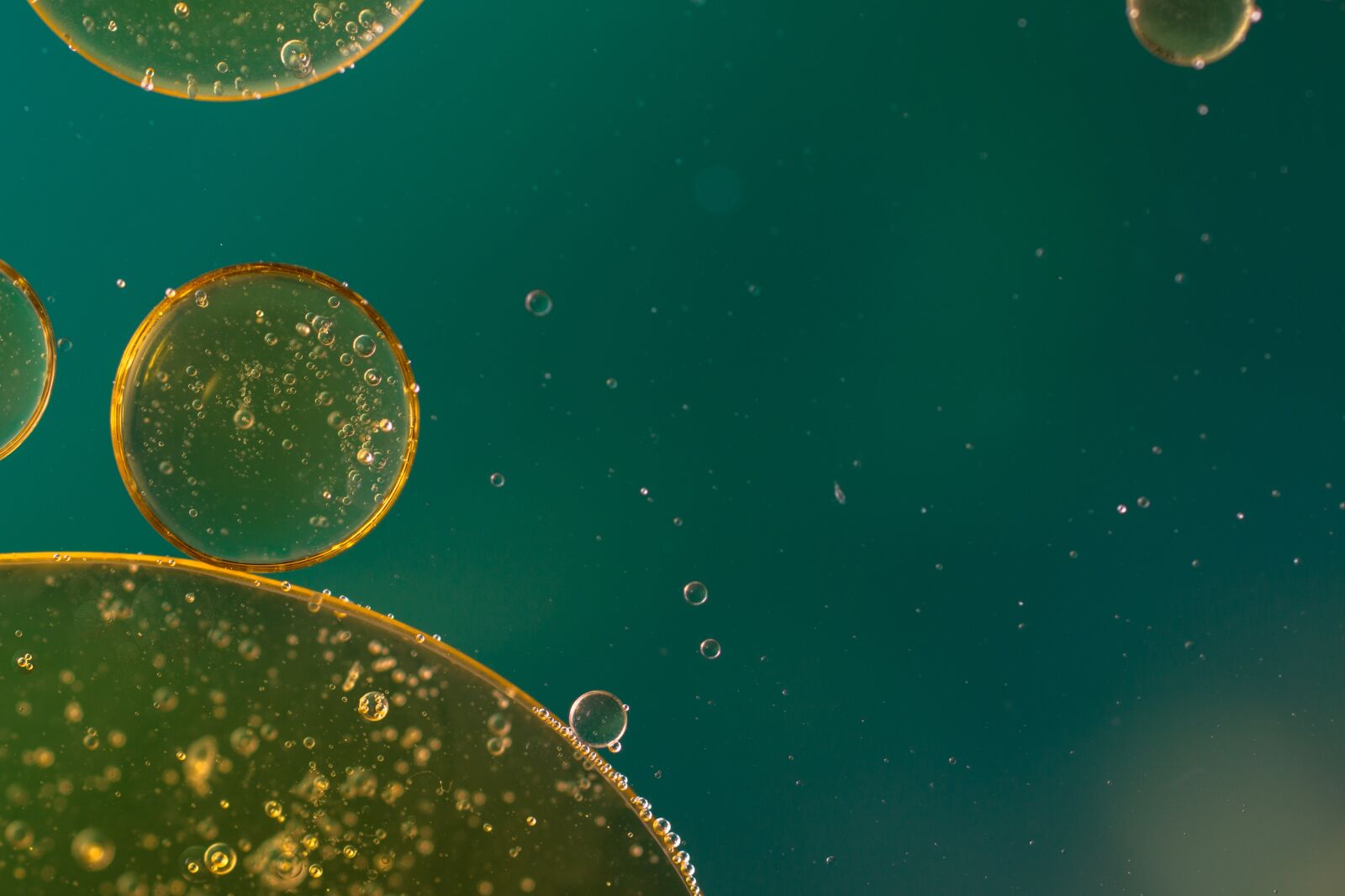Canon EOS 70D + Canon EF 50mm F2.5 Macro sample photo. Oil in water, liquid photography