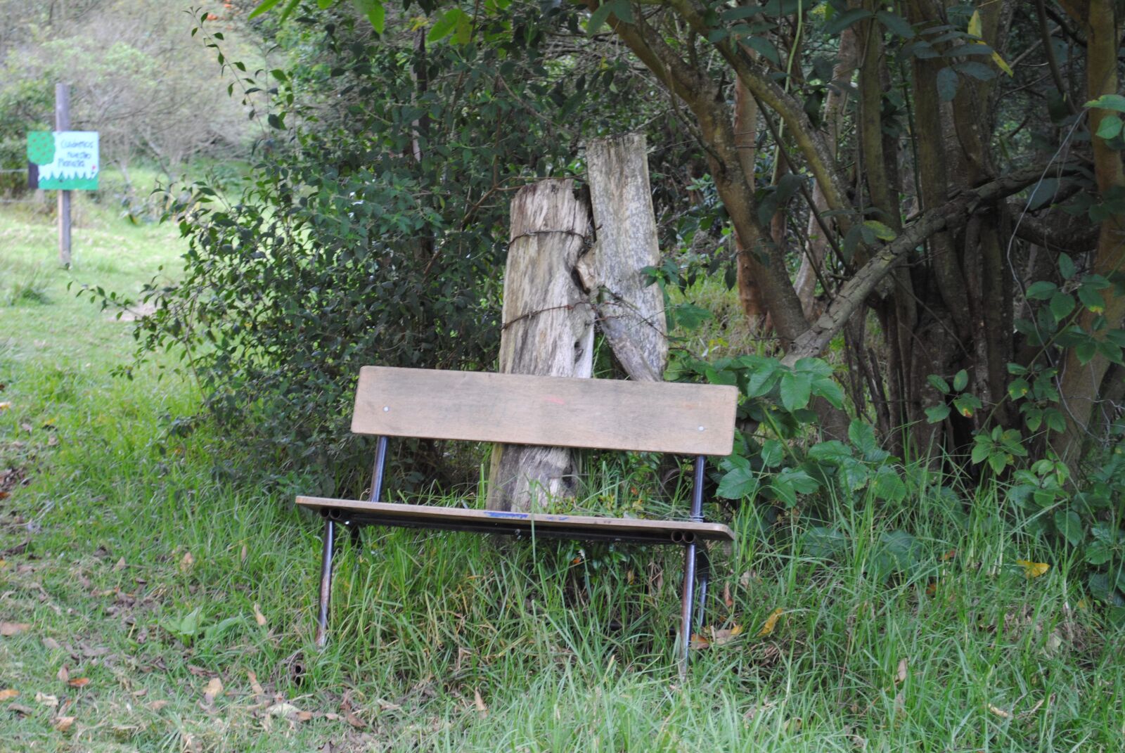 Nikon D3000 sample photo. Landscape, natural, monserrate photography