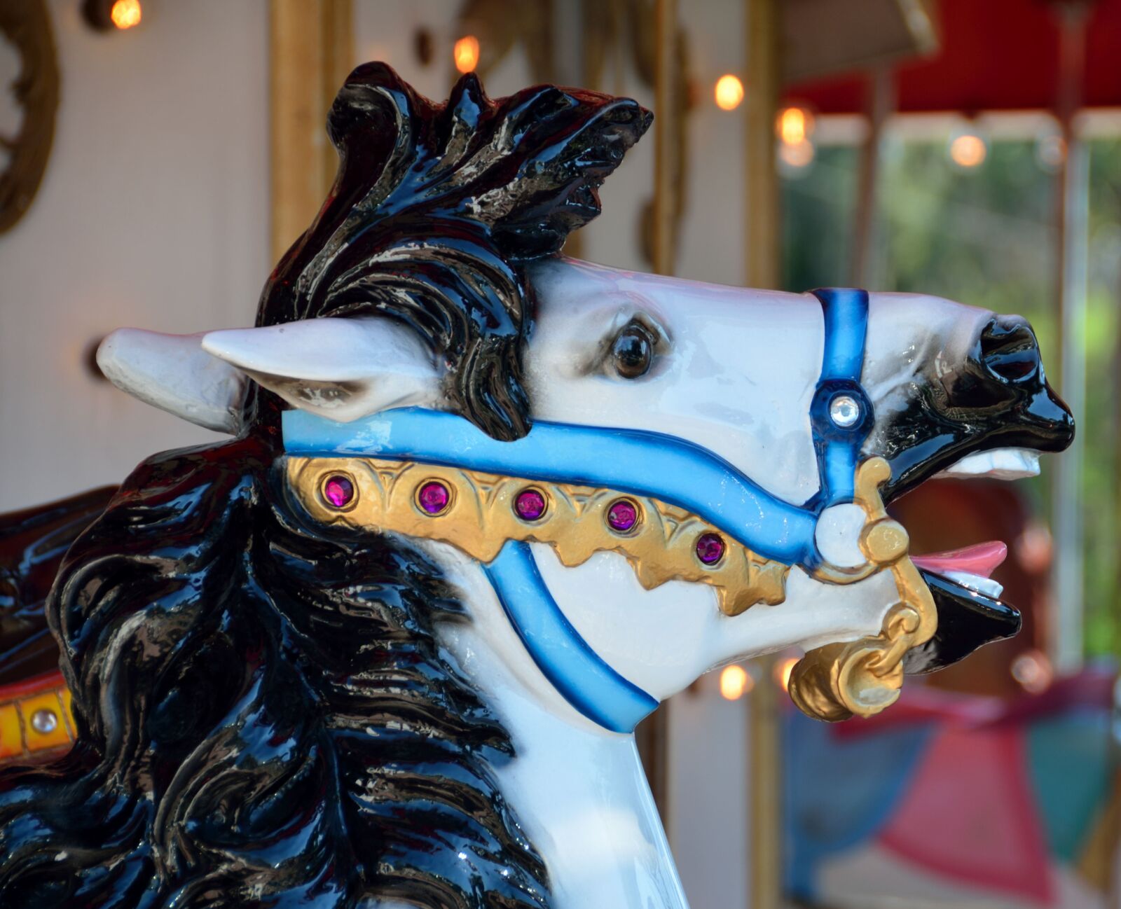 Nikon D7000 sample photo. Merry go round, painted photography