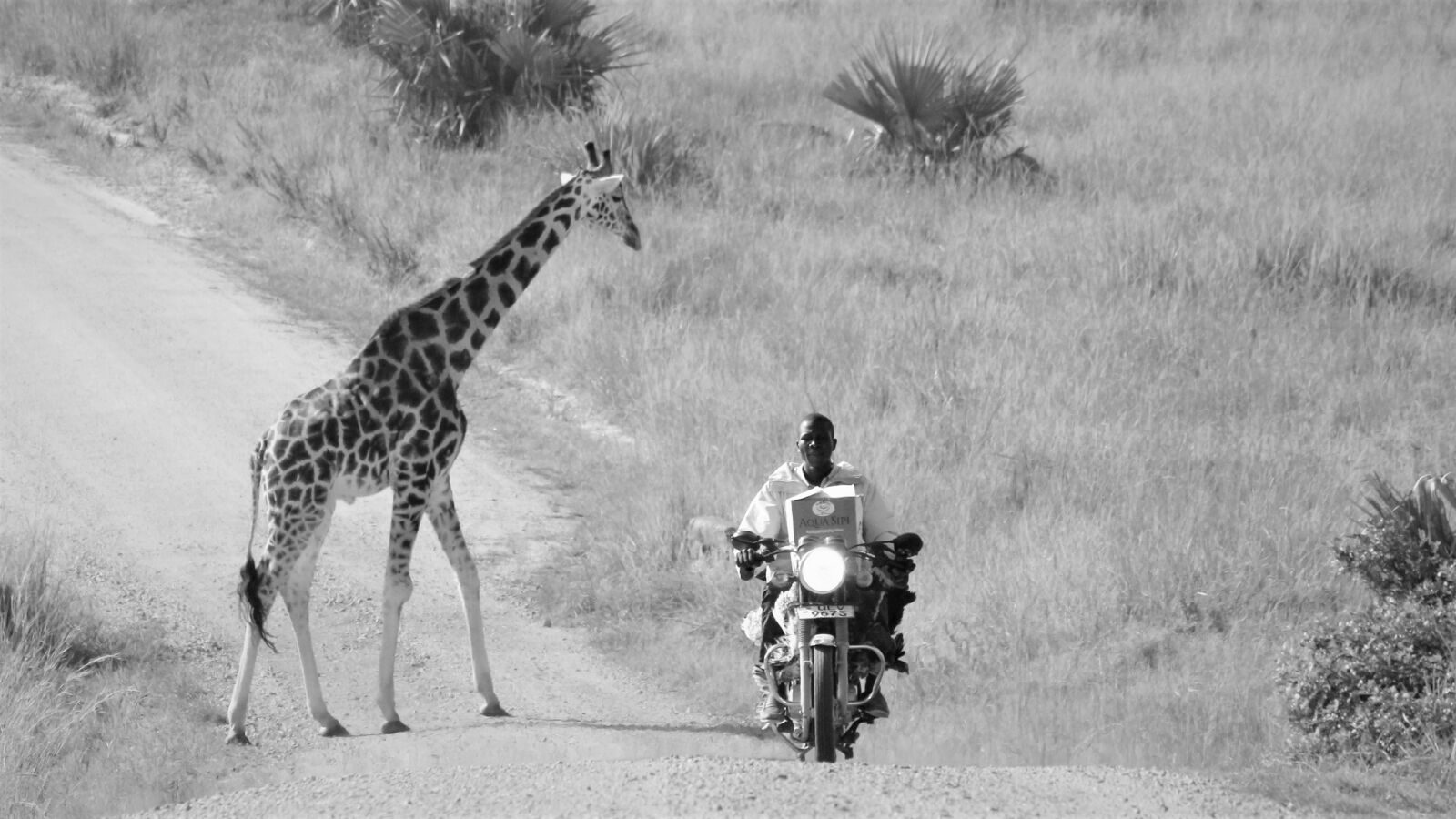 Canon EOS 60D sample photo. Uganda wildlife, mix, humans photography