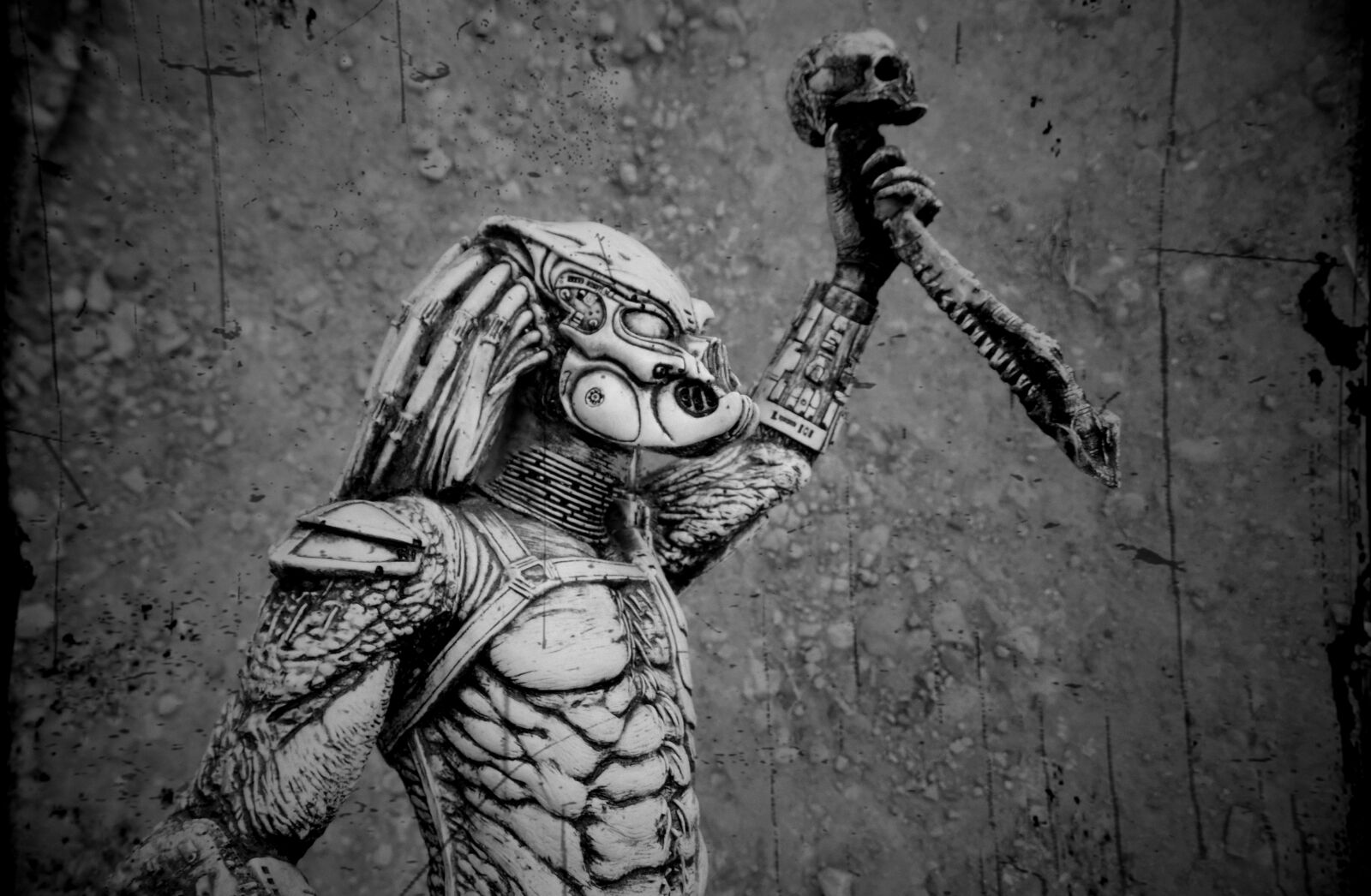 Samsung WB100/  WB101 sample photo. Comic, predator photography