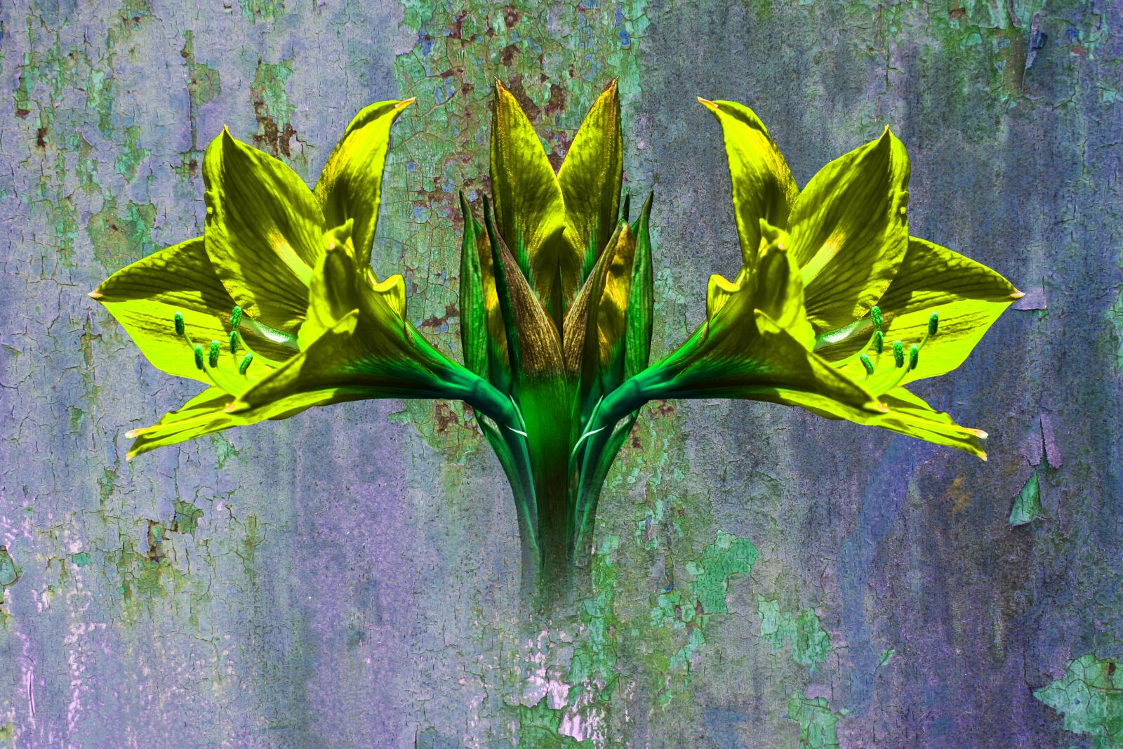 Nikon D3400 sample photo. Flower grunge, art, nature photography