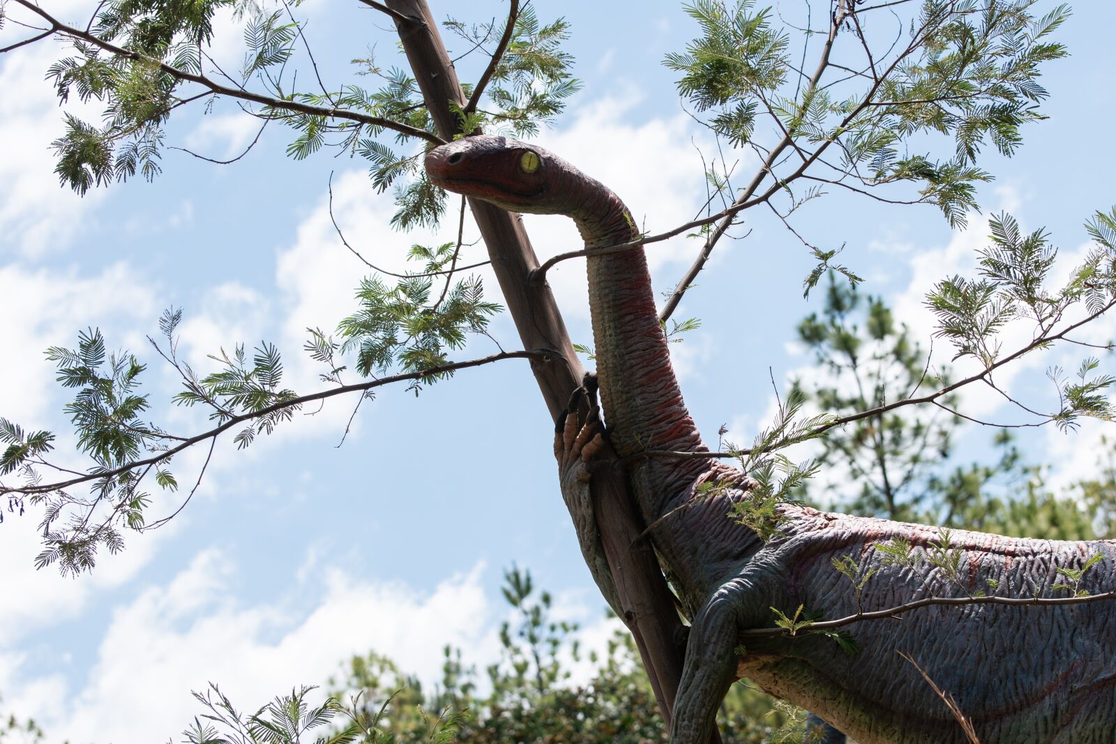 Nikon D5600 sample photo. Gondava, park, dinosaurs photography