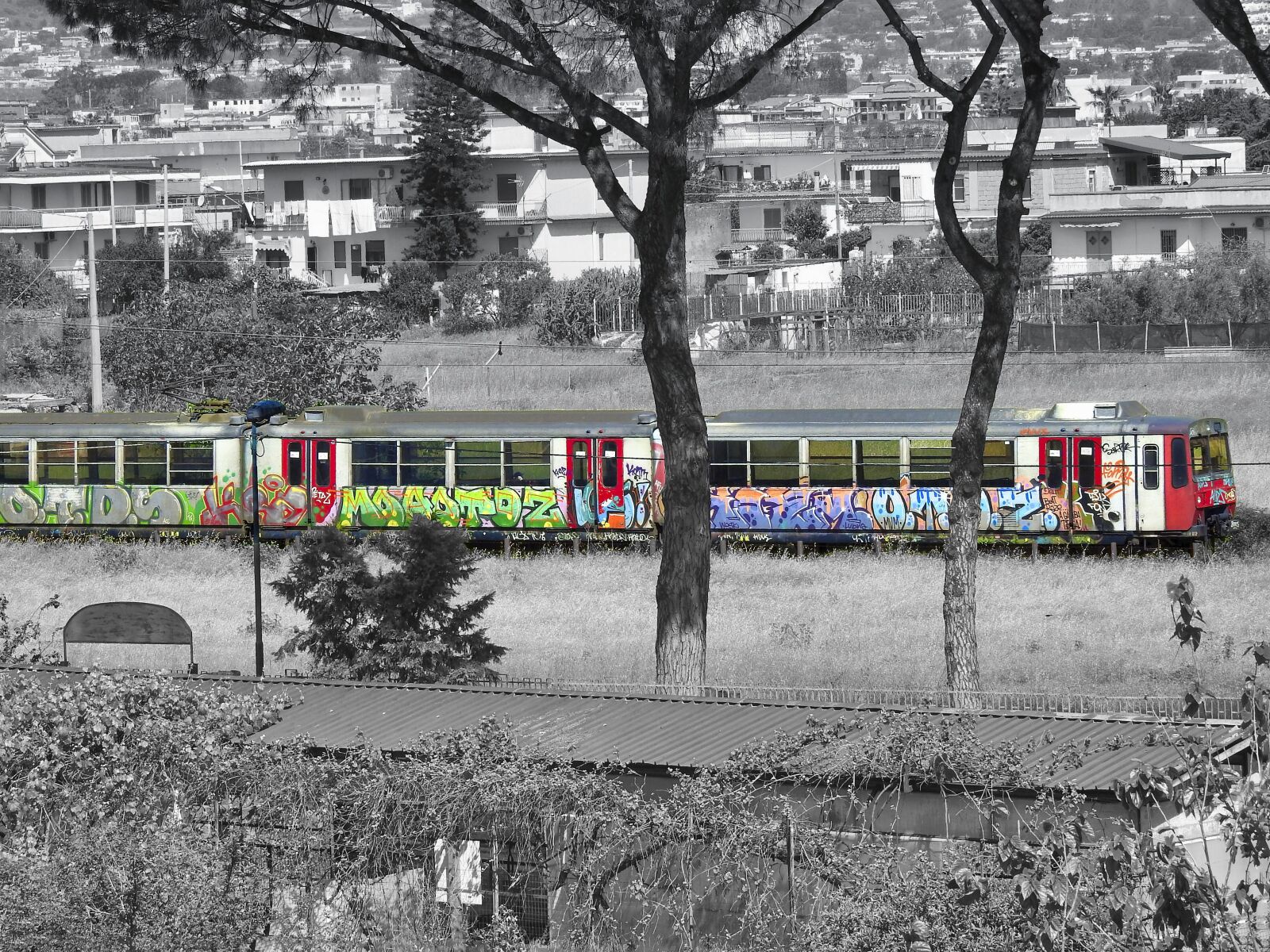 Nikon Coolpix P900 sample photo. Train, railroad, railway photography