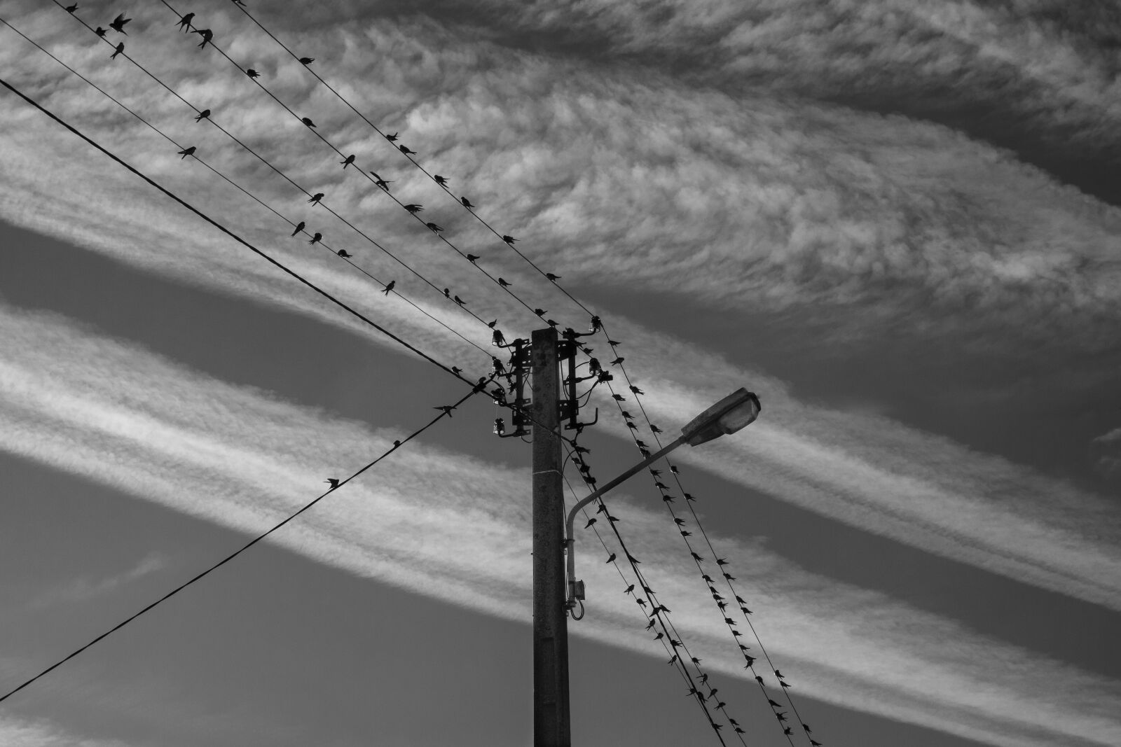 Sony Cyber-shot DSC-RX100 sample photo. Line, electric, landscape photography