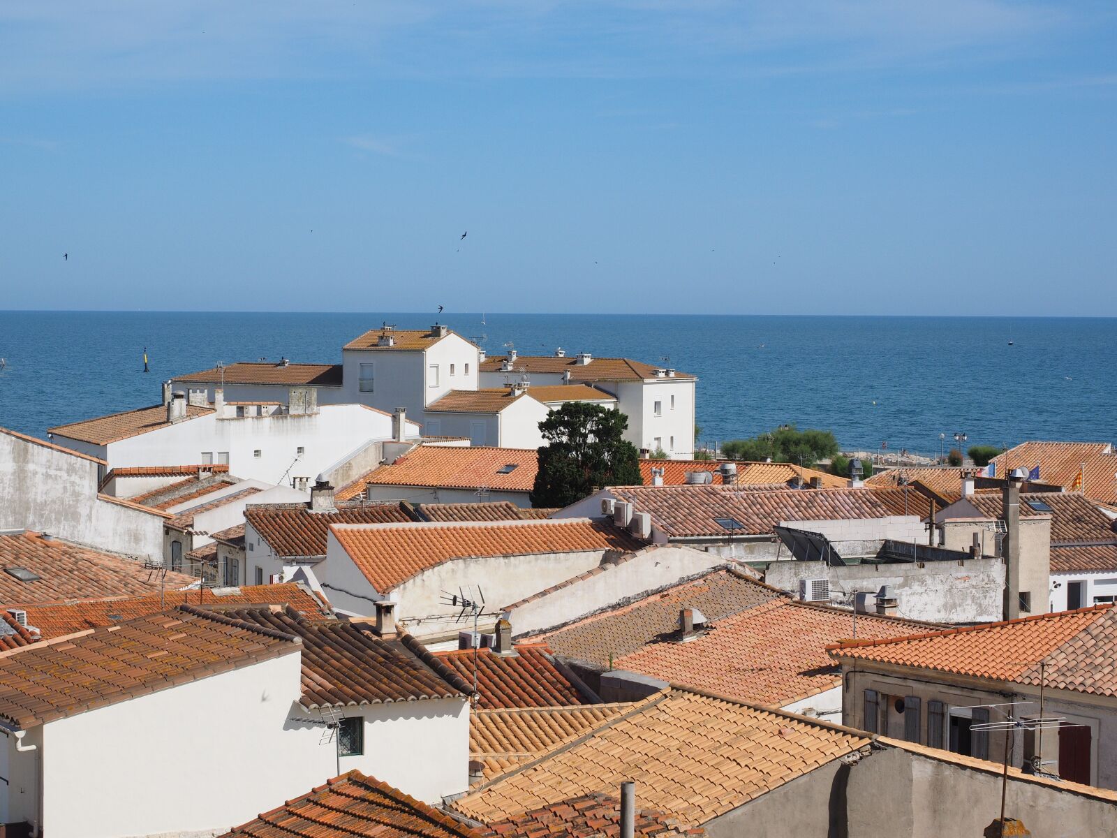 Olympus OM-D E-M1 + Olympus M.Zuiko Digital ED 12-40mm F2.8 Pro sample photo. Saintes-maries-de-la-mer, place, community photography