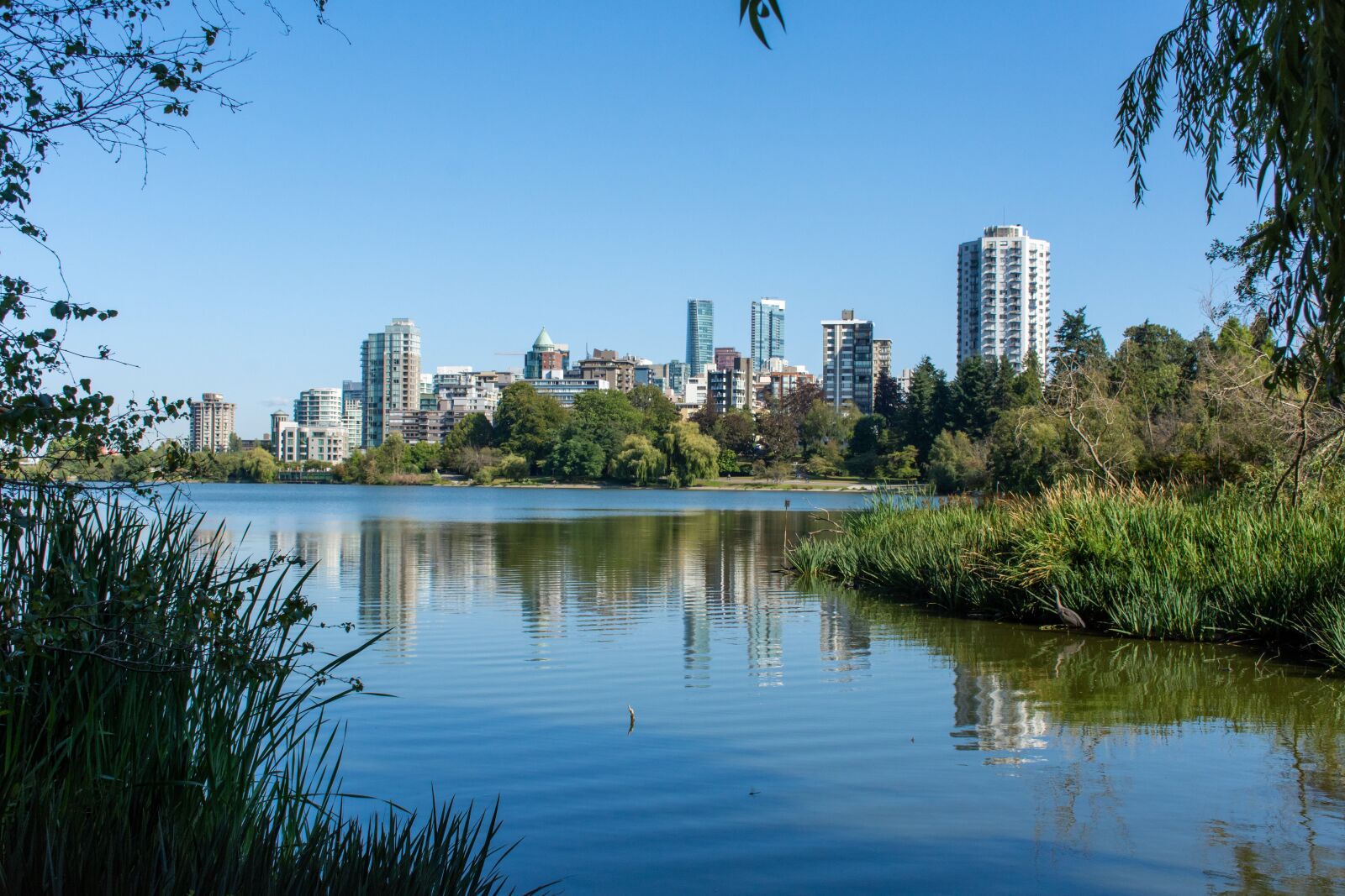 Nikon D7200 sample photo. Stanley park, vancouver, british photography