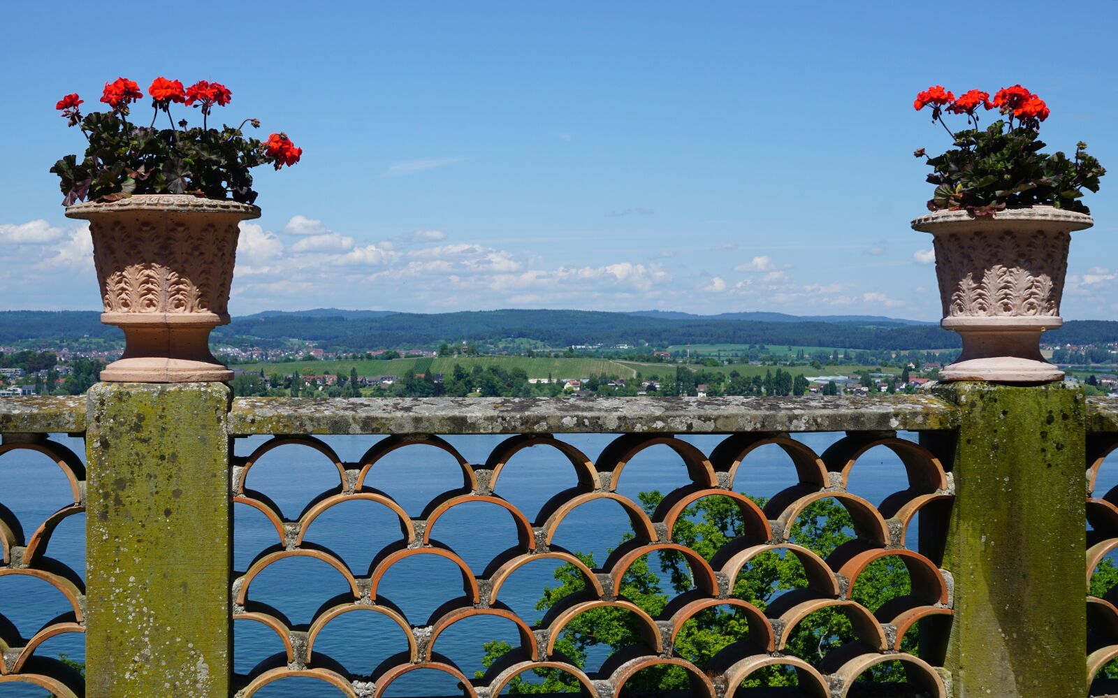 Sony ILCA-77M2 sample photo. Thurgau, salenstein, reichenau photography