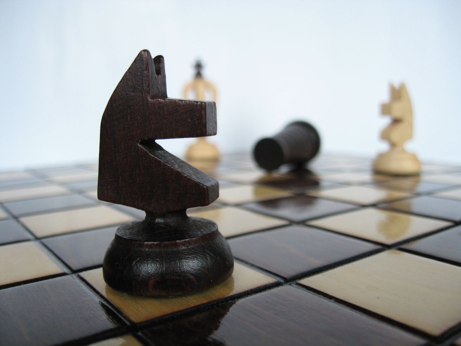 Canon POWERSHOT A560 sample photo. Chess, pawn, knight photography