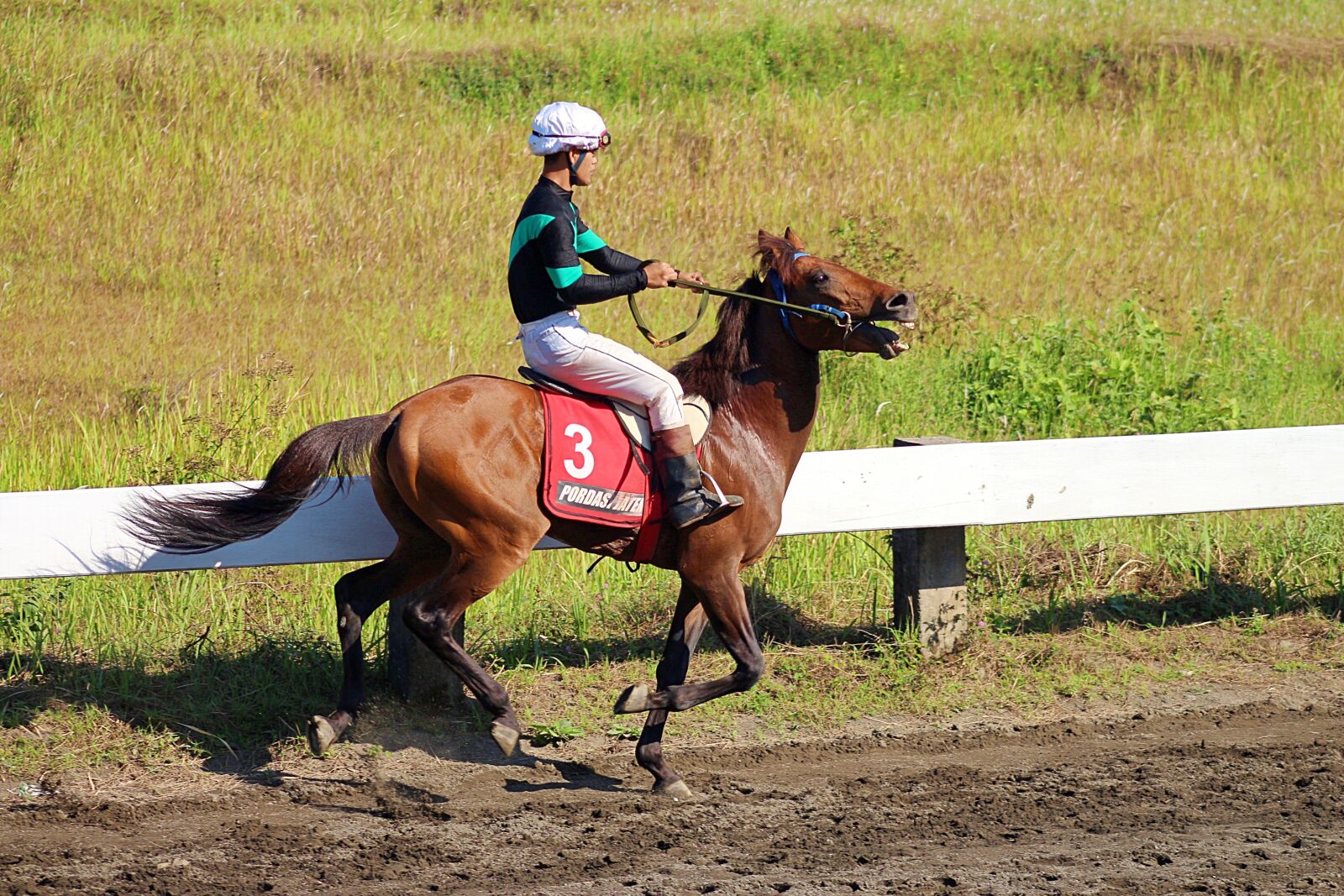 Canon EOS 650D (EOS Rebel T4i / EOS Kiss X6i) + Canon EF 75-300mm f/4-5.6 USM sample photo. Horse, race, indonesia photography
