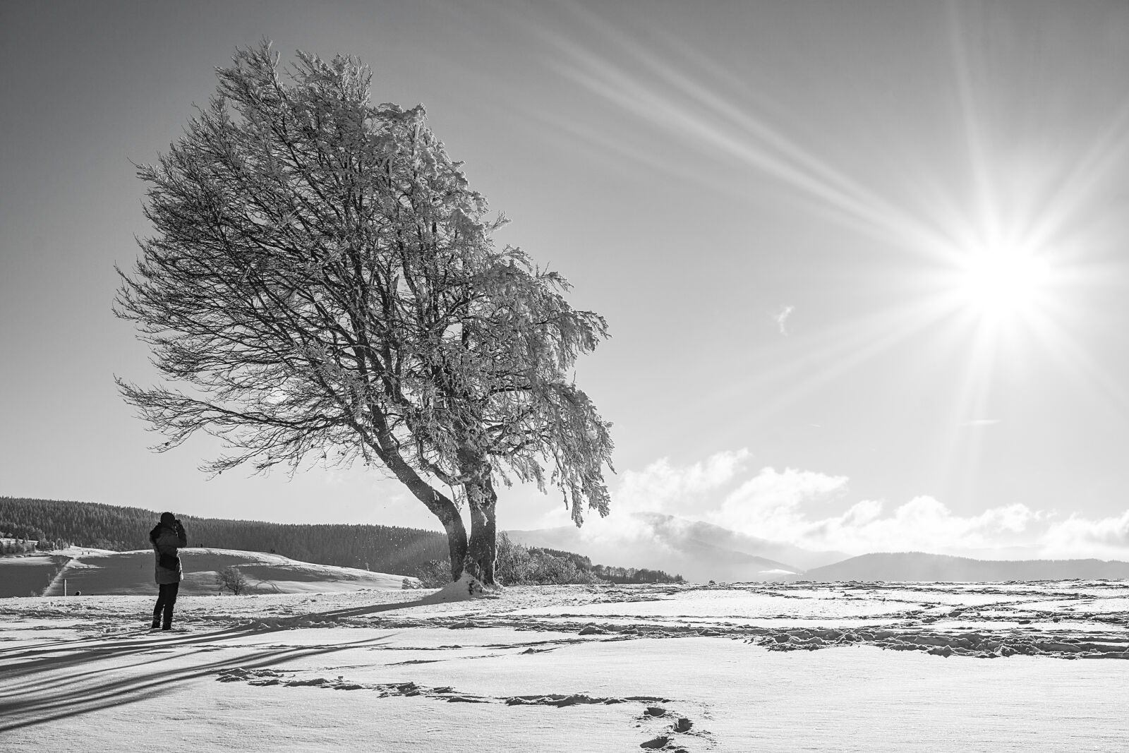 Sony a6000 + Sigma 30mm F2.8 EX DN sample photo. Clouds, cold, frost, frosty photography
