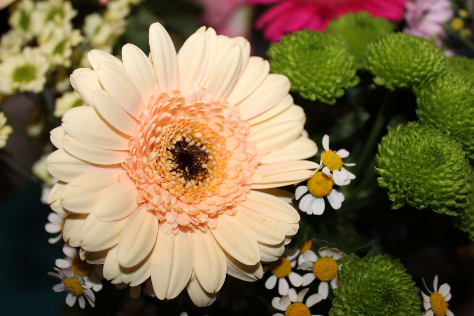 Canon EOS 1300D (EOS Rebel T6 / EOS Kiss X80) sample photo. Bunch, of, flowers, flower photography
