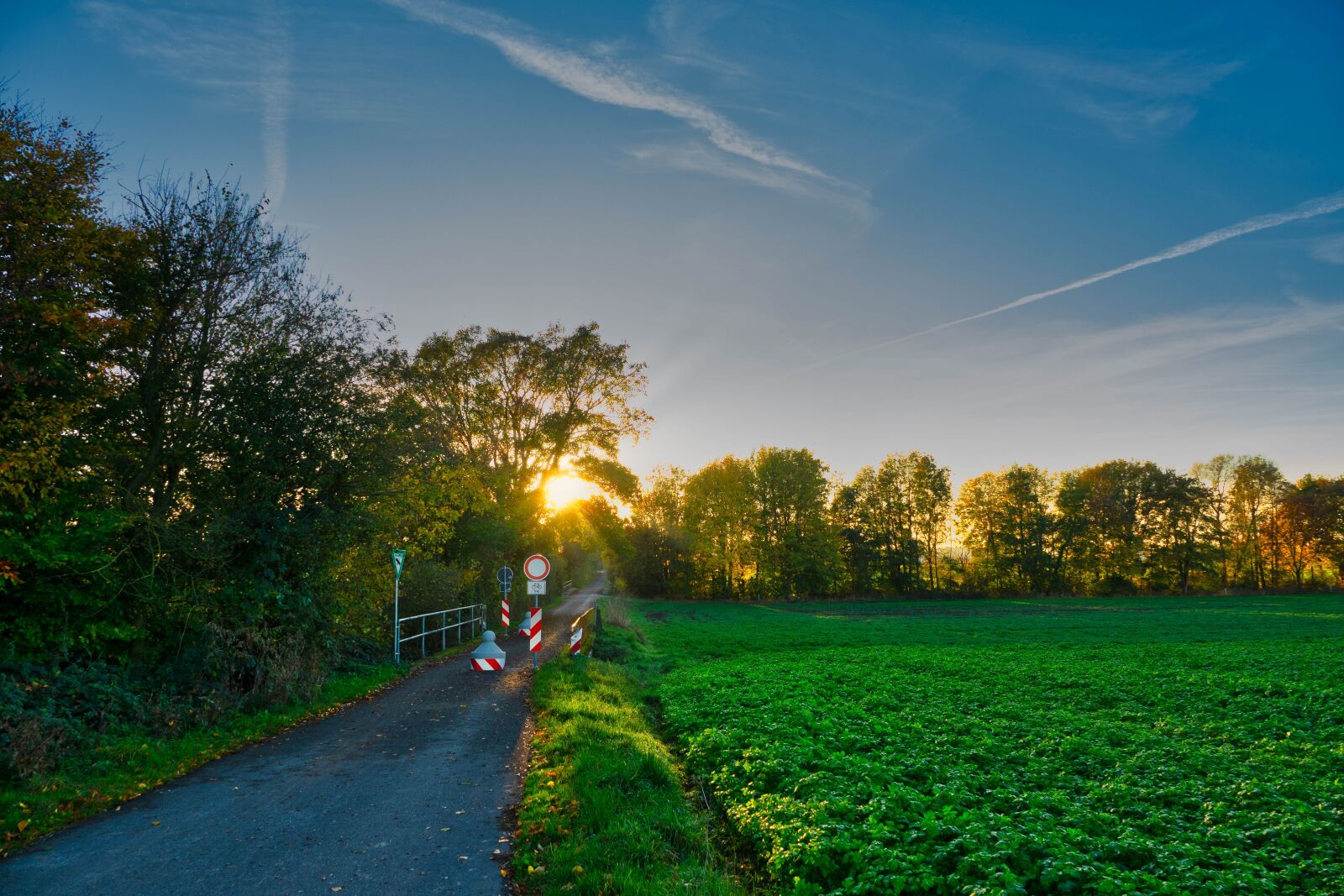 Sony Cyber-shot DSC-RX10 III sample photo. Away, cycle path, walk photography