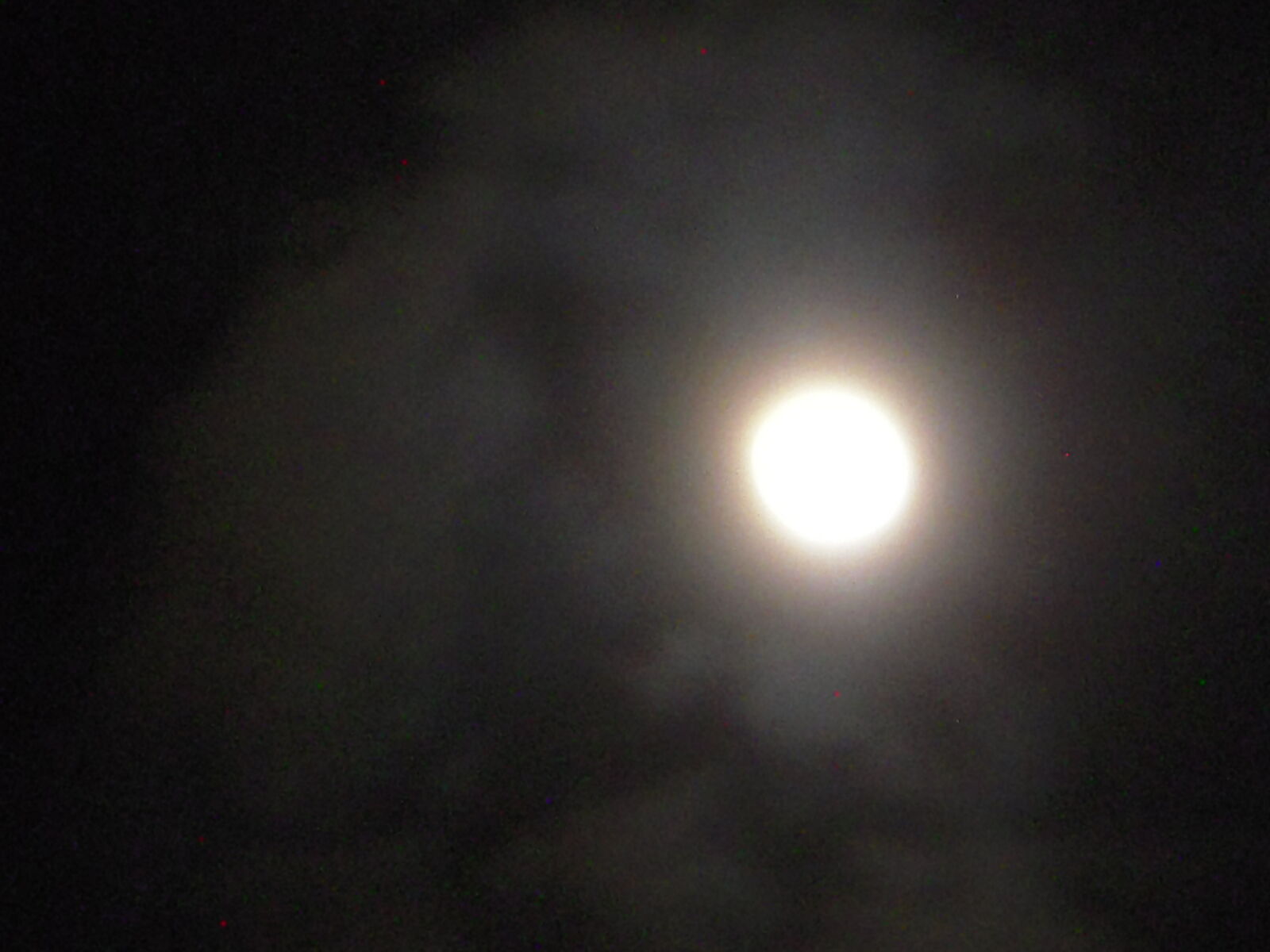 Nikon Coolpix S52 sample photo