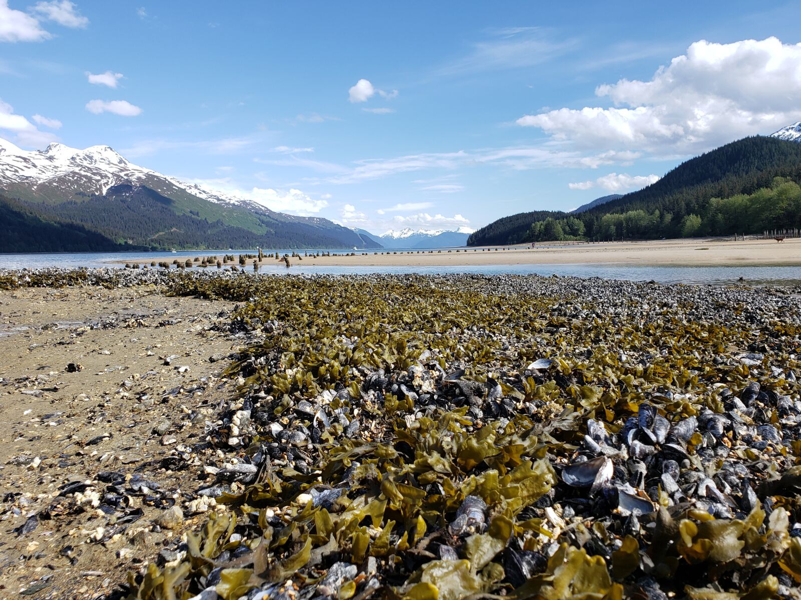 Samsung Galaxy S9+ sample photo. Juneau, alaska, sandy beach photography