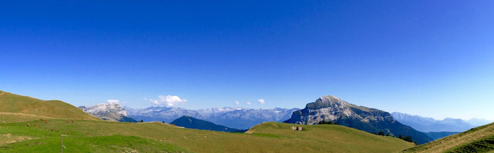 iPhone 5c back camera 4.12mm f/2.4 sample photo. Alps, chartreuse, mountain photography