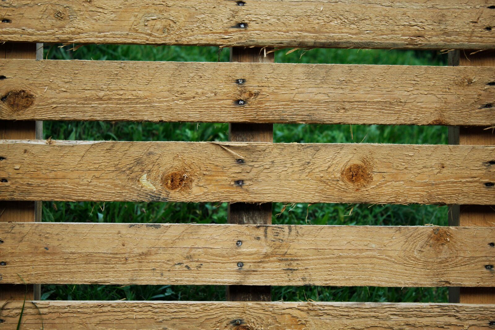 Canon EOS 1300D (EOS Rebel T6 / EOS Kiss X80) sample photo. Wood, boards, background photography
