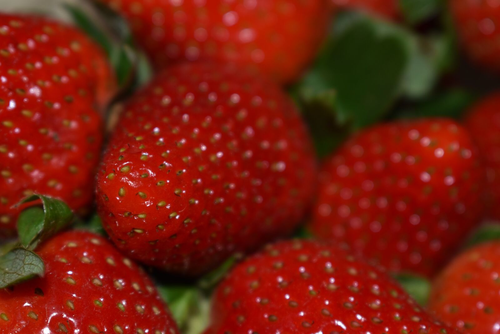 Nikon D3500 sample photo. Berry, strawberry, ripe photography