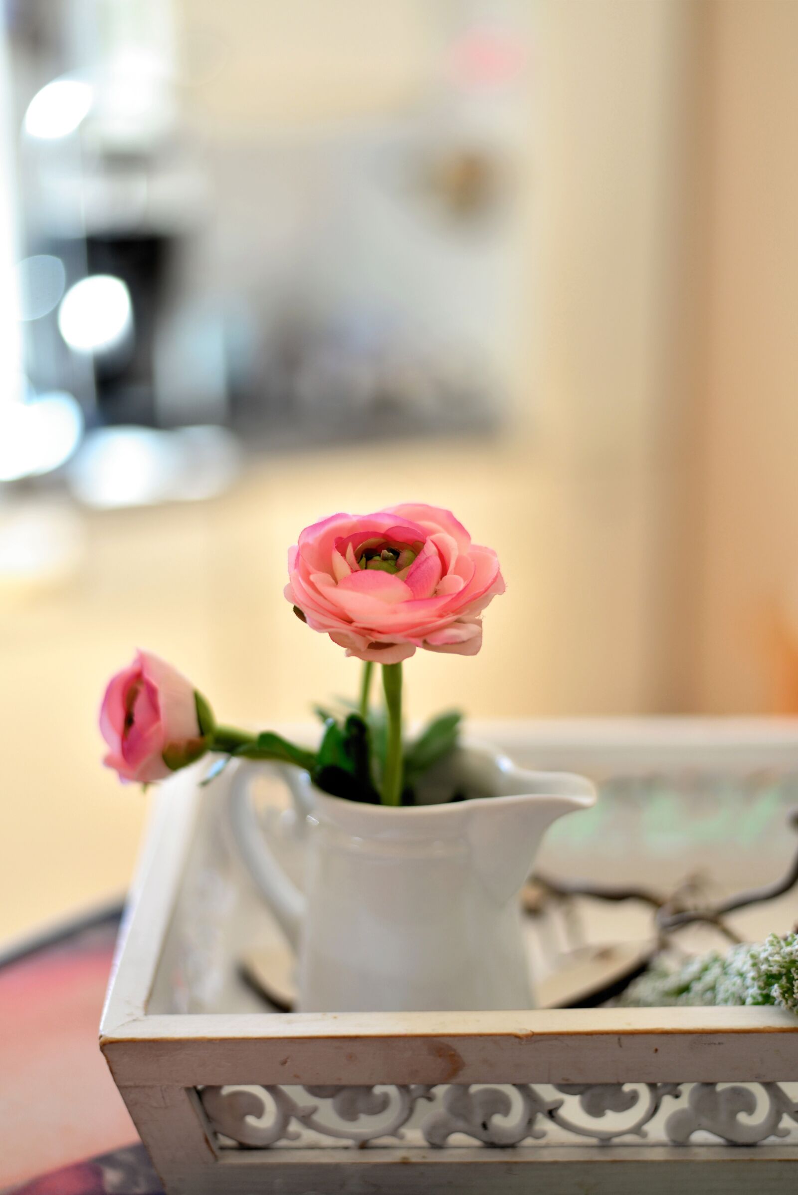 Nikon D610 sample photo. Ranunculus, blossom, bloom photography