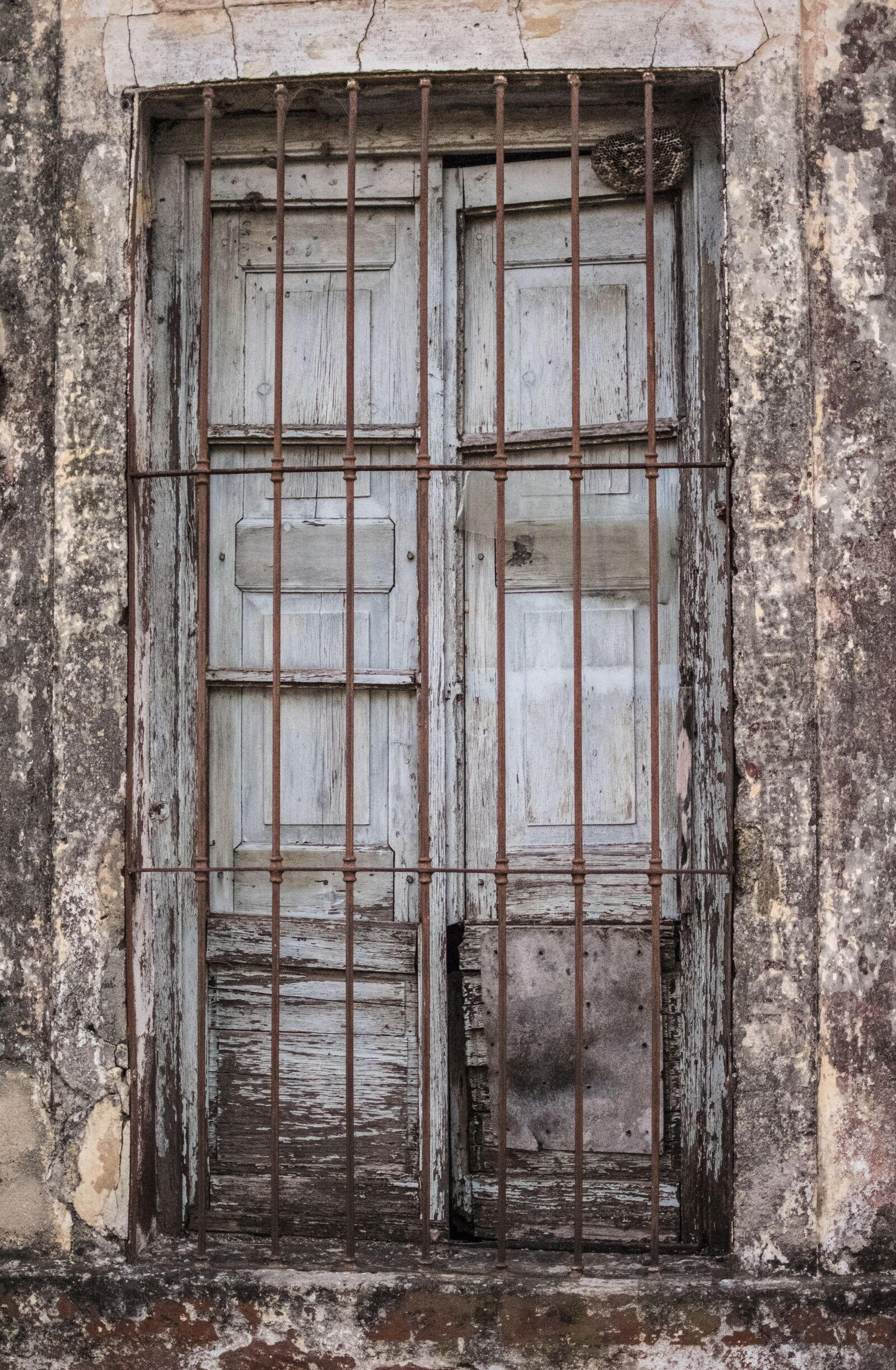 Nikon D5500 sample photo. Window, building, facade photography