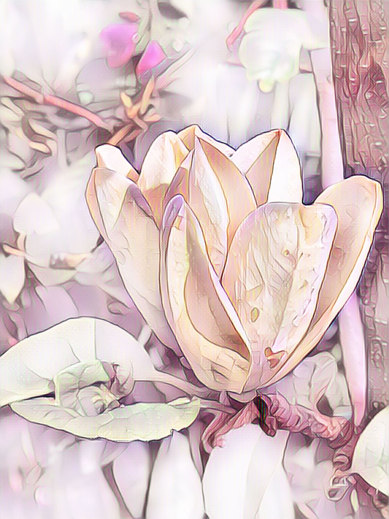 Canon PowerShot G15 sample photo. Magnolia, digital painting, pastel photography