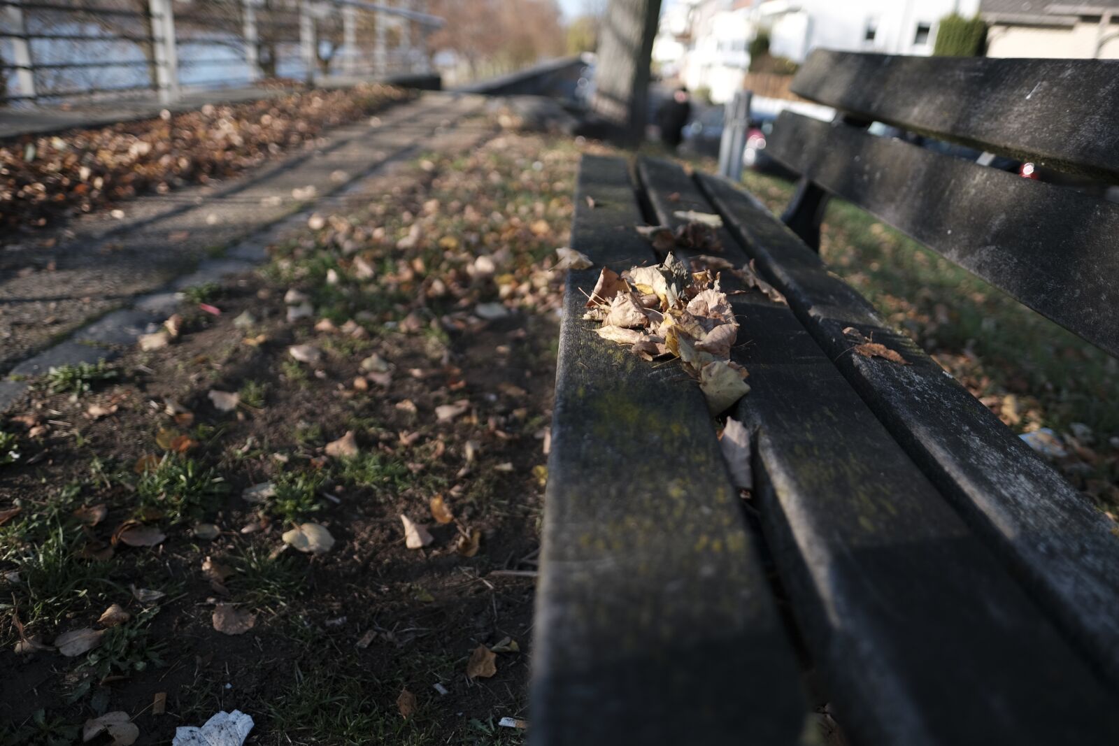Fujifilm X-T3 + Fujifilm XF 16mm F1.4 R WR sample photo. Autumn, leaves, mood photography