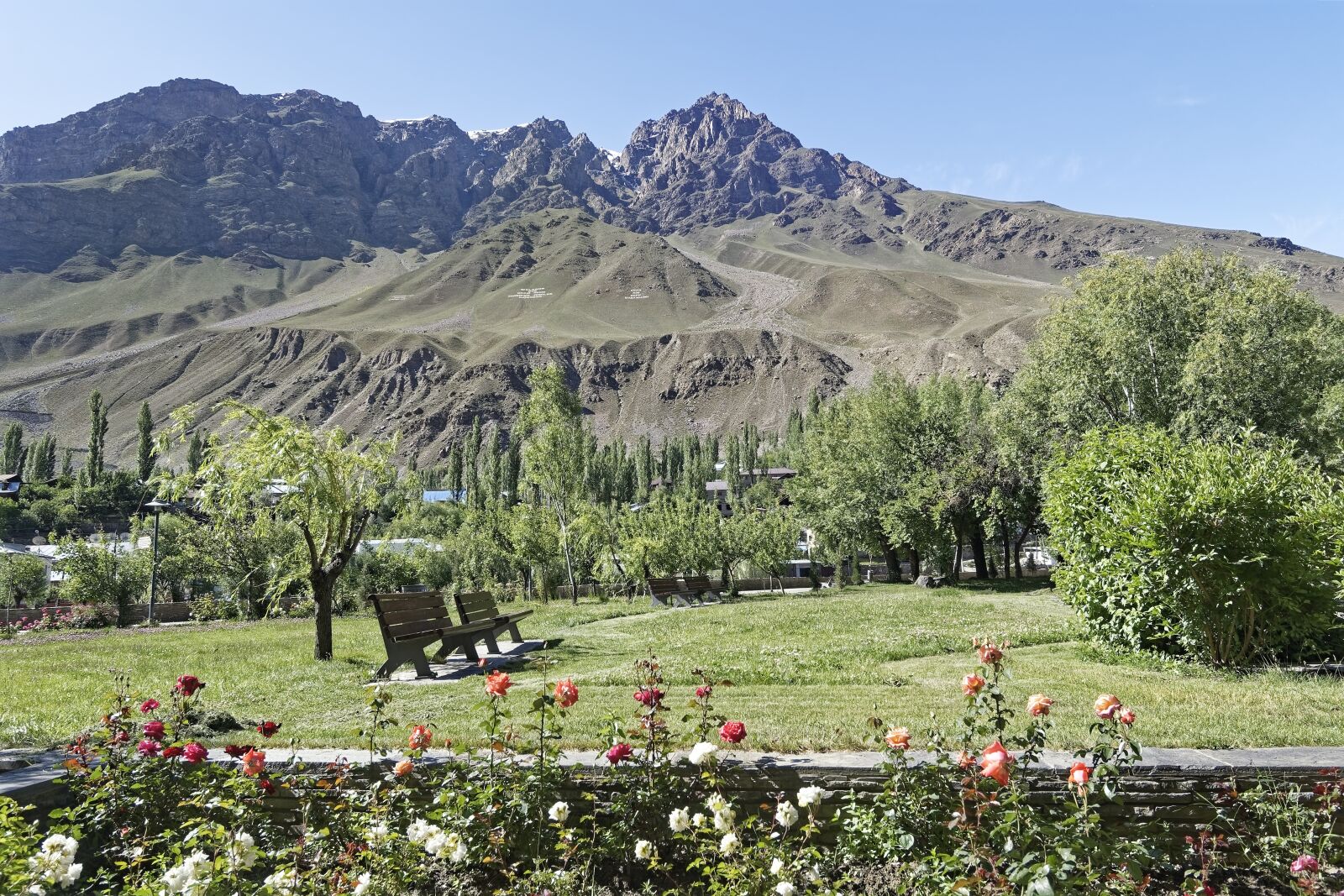 Nikon D500 sample photo. Tajikistan, khorugh, botanical garden photography