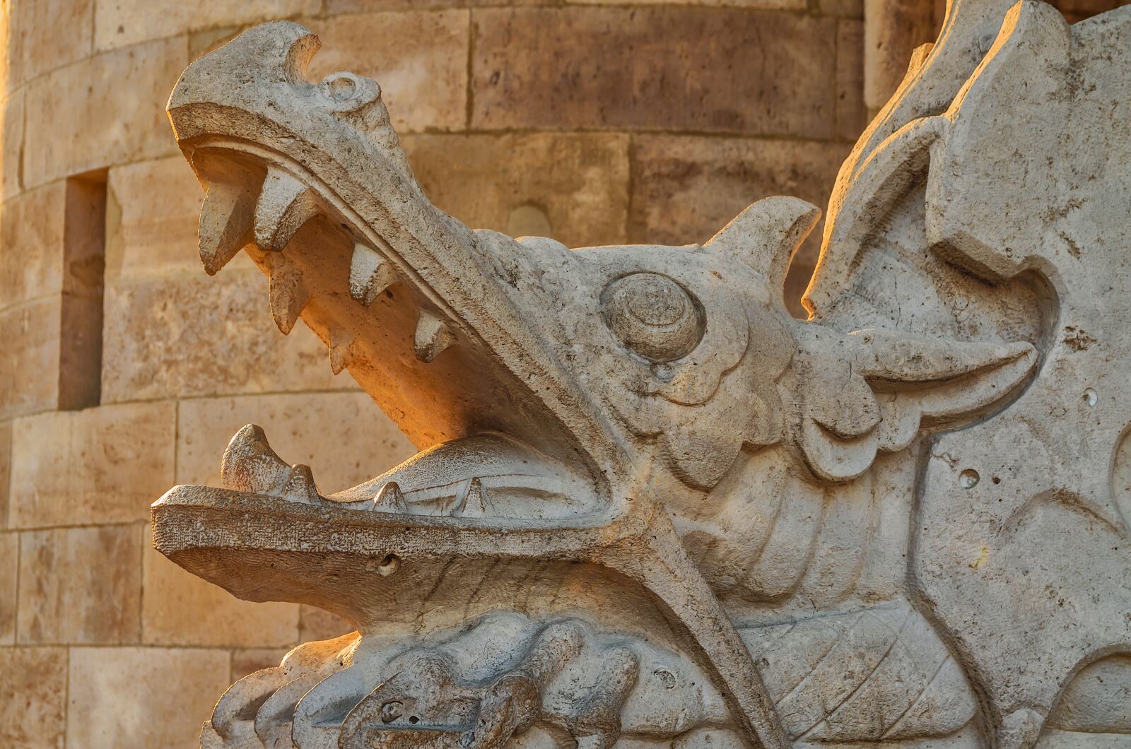 Nikon D5100 sample photo. Dragon, statue, sunset photography
