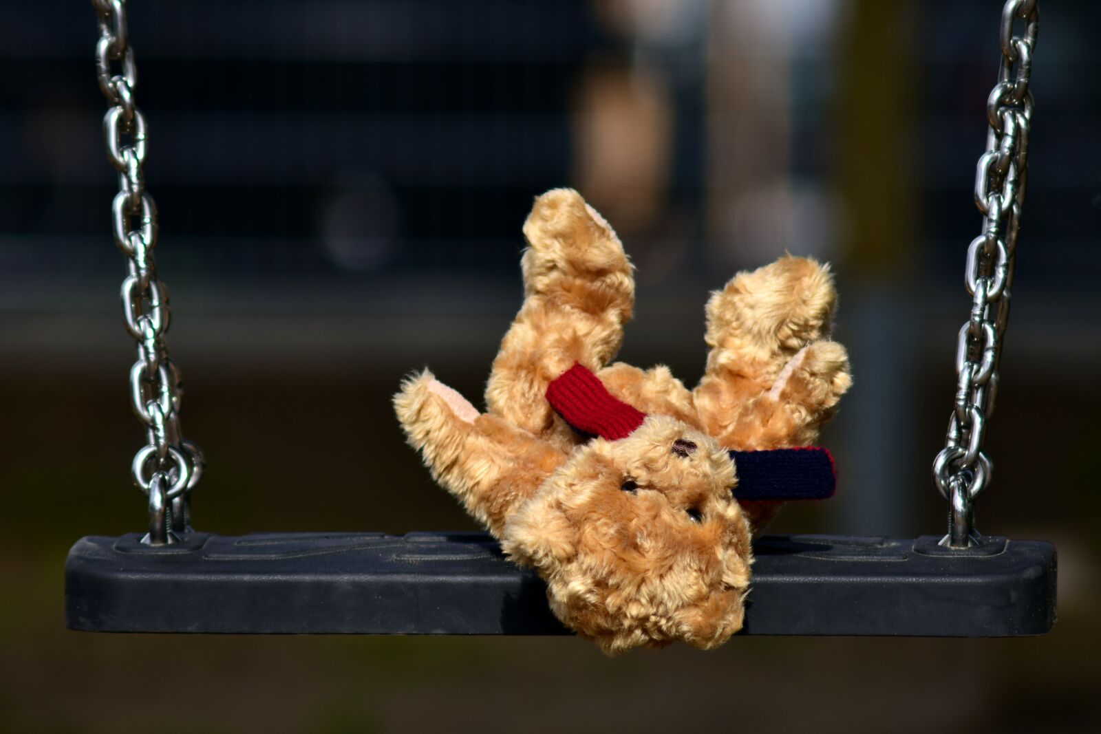 Nikon D3300 sample photo. Bear, furry teddy bear photography