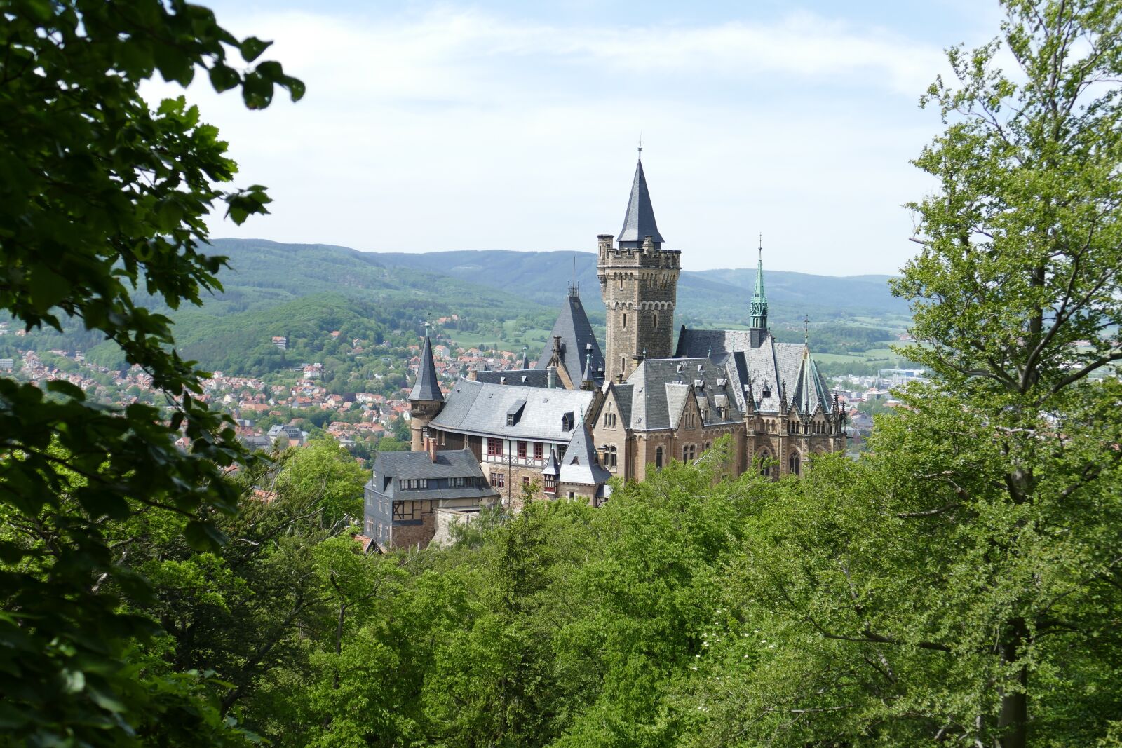 Panasonic Lumix DMC-FZ1000 sample photo. Castle, wernigerode, forest photography