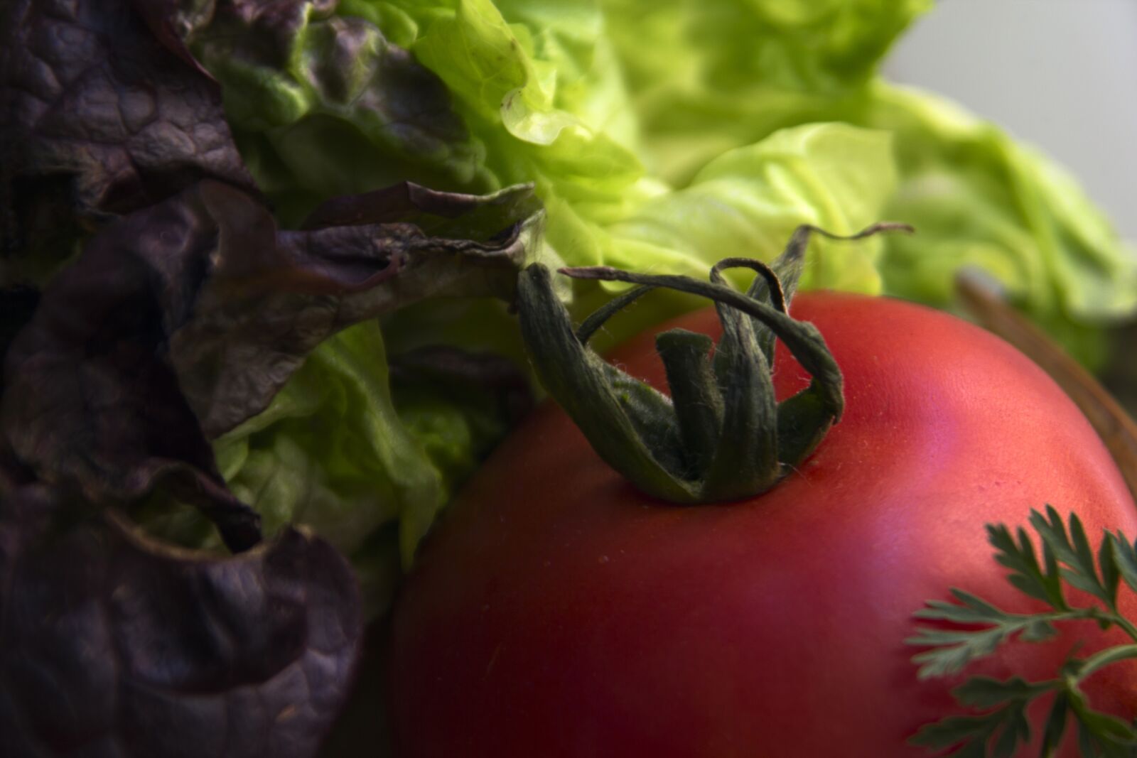 Canon EOS 600D (Rebel EOS T3i / EOS Kiss X5) sample photo. Lettuce, tomato, vegetables photography