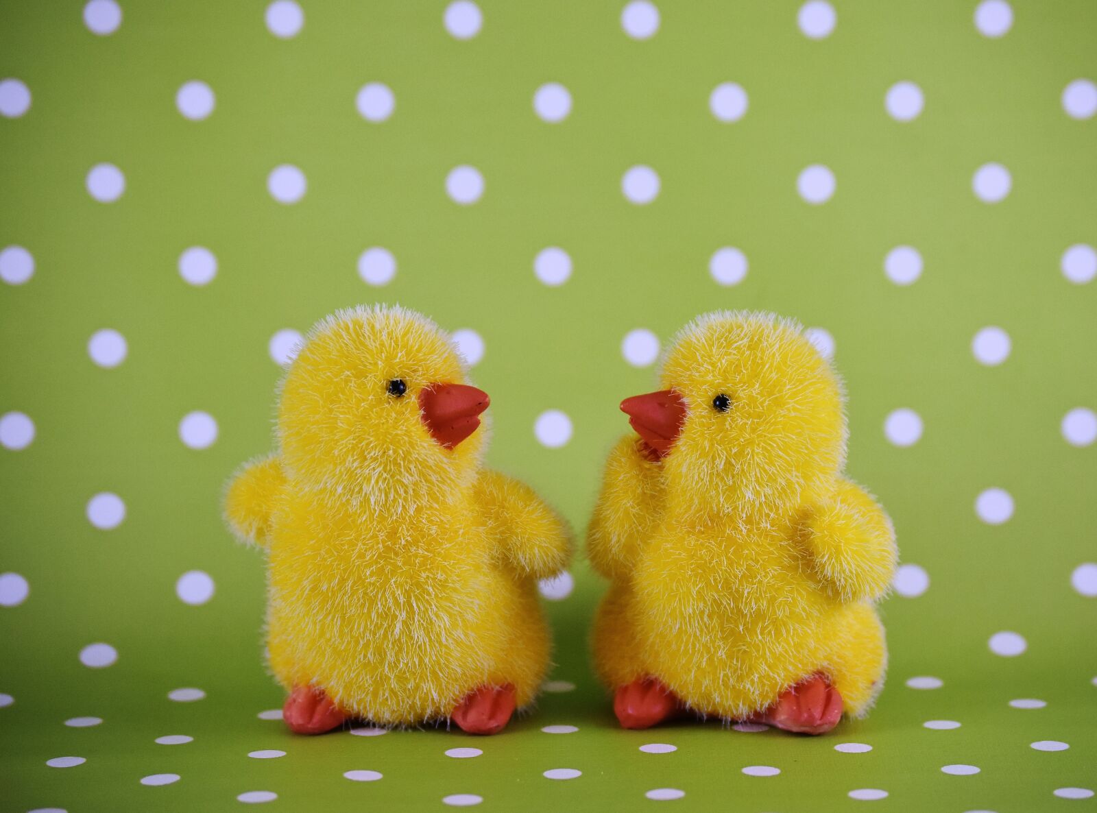 Nikon D7200 sample photo. Chicks, easter, cute photography