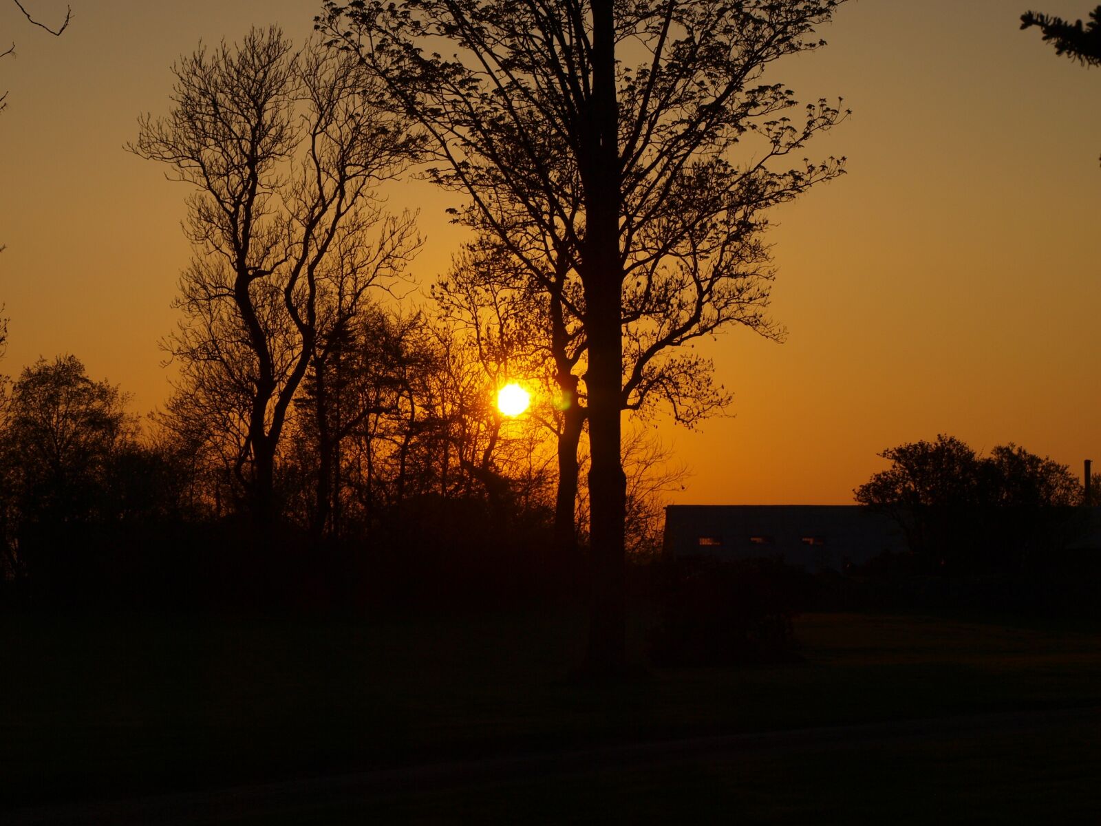 Olympus E-420 (EVOLT E-420) sample photo. Landscape, sunset, natural photography
