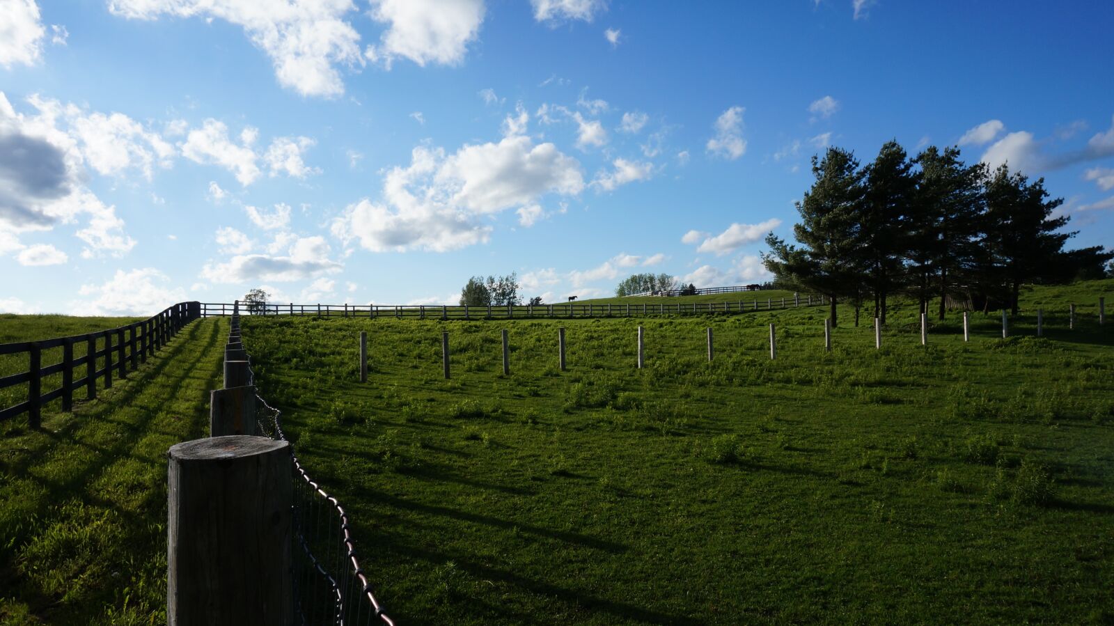 Sony Alpha NEX-3N sample photo. Field, pasture, rural photography