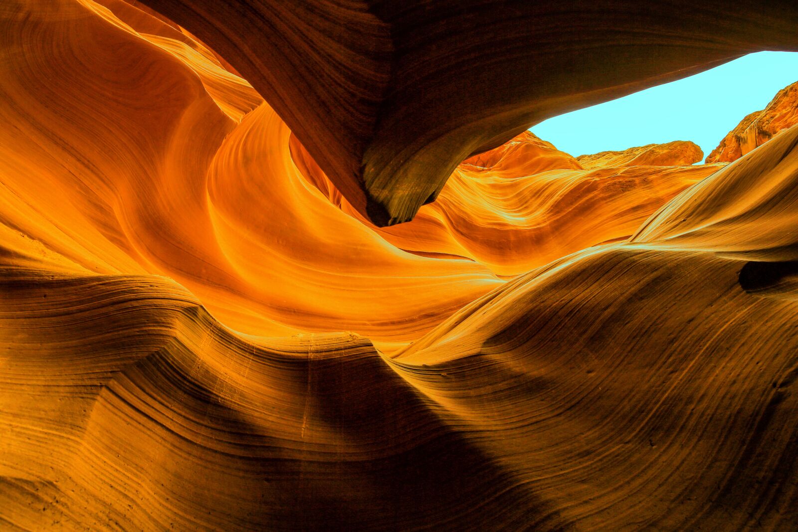 Canon EF 24-70mm F2.8L II USM sample photo. United states, arizona, low photography