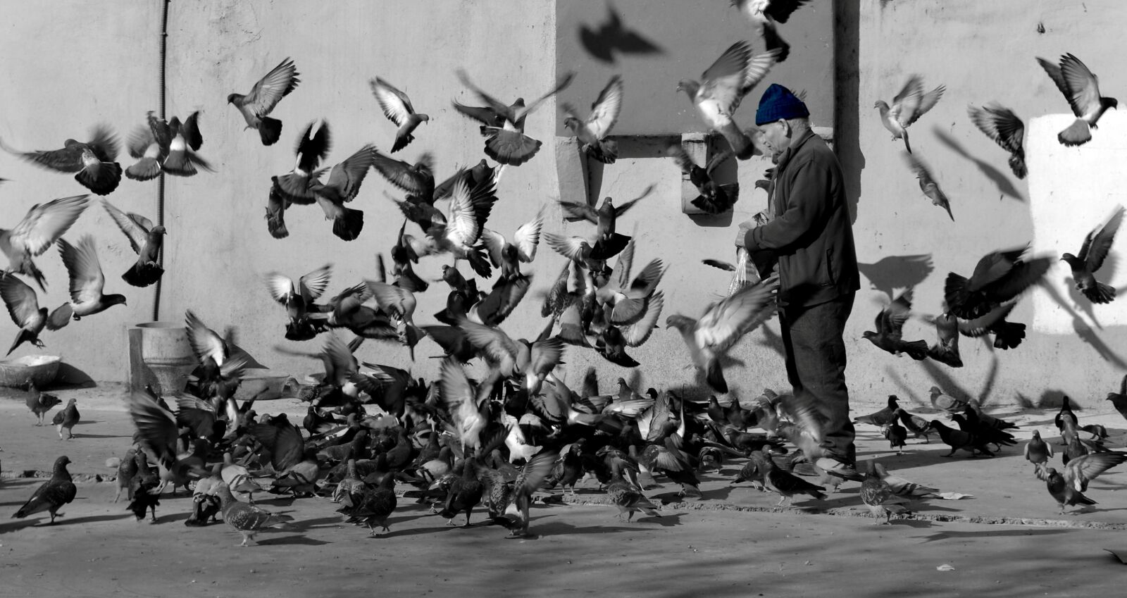 Nikon D5100 sample photo. Folk, action, war photography