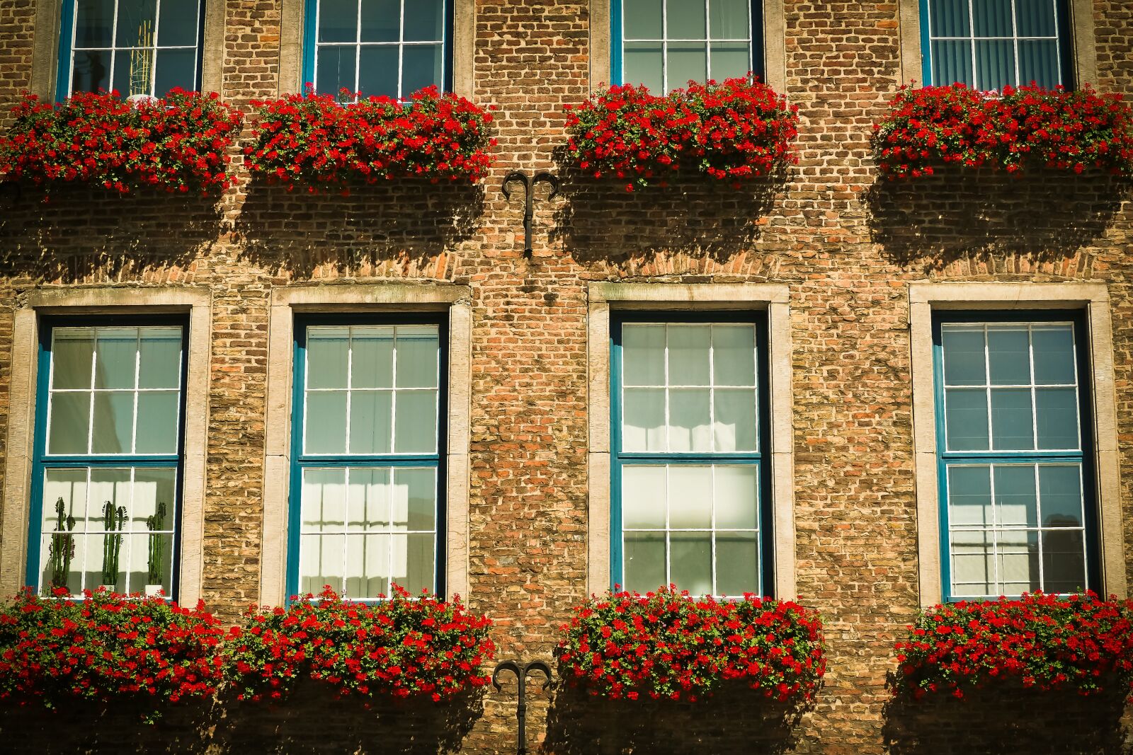 Olympus OM-D E-M10 sample photo. Architecture, window, facade photography